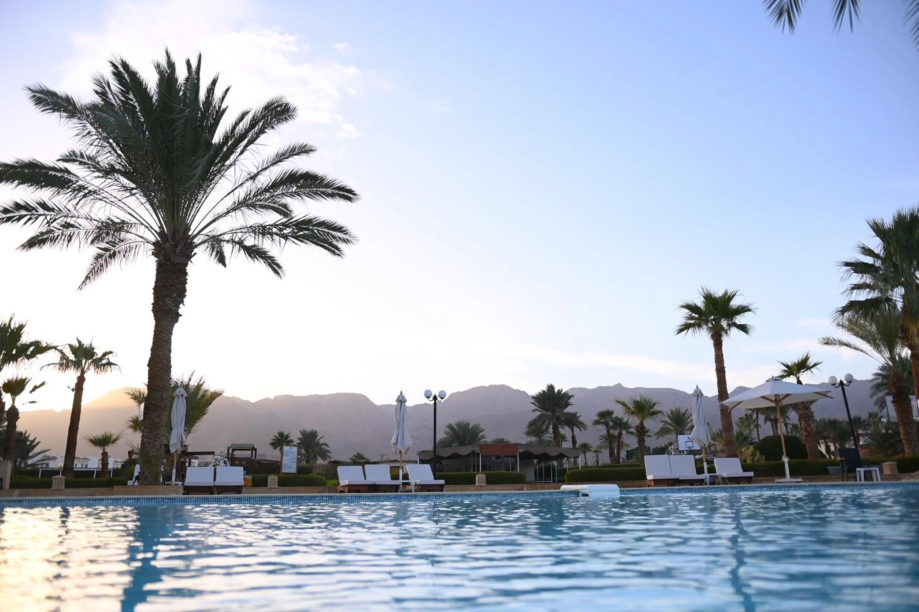 Swimming pool in Fiord Club Resort & Spa Nuweiba