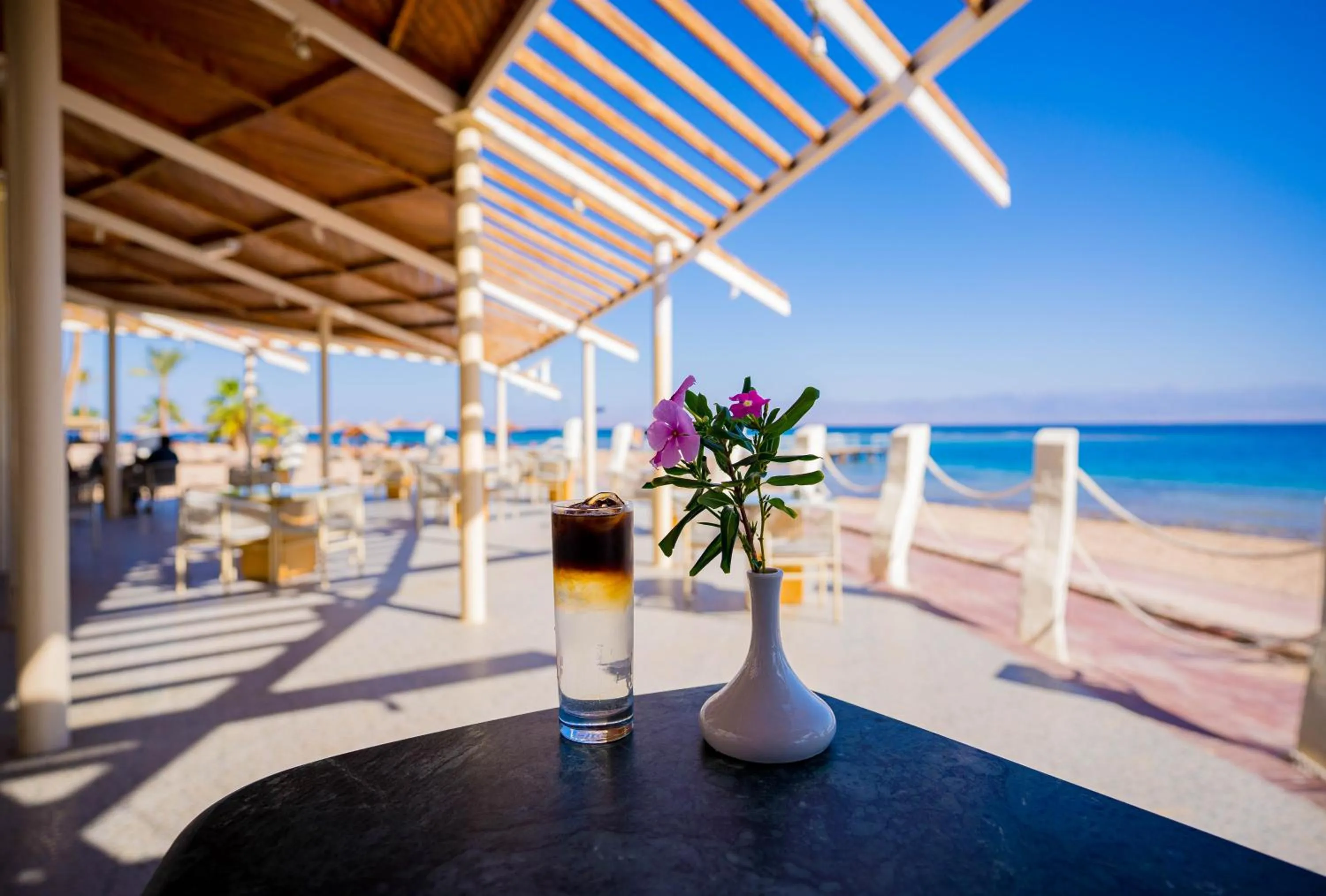 Day in Nuweiba Club Resort