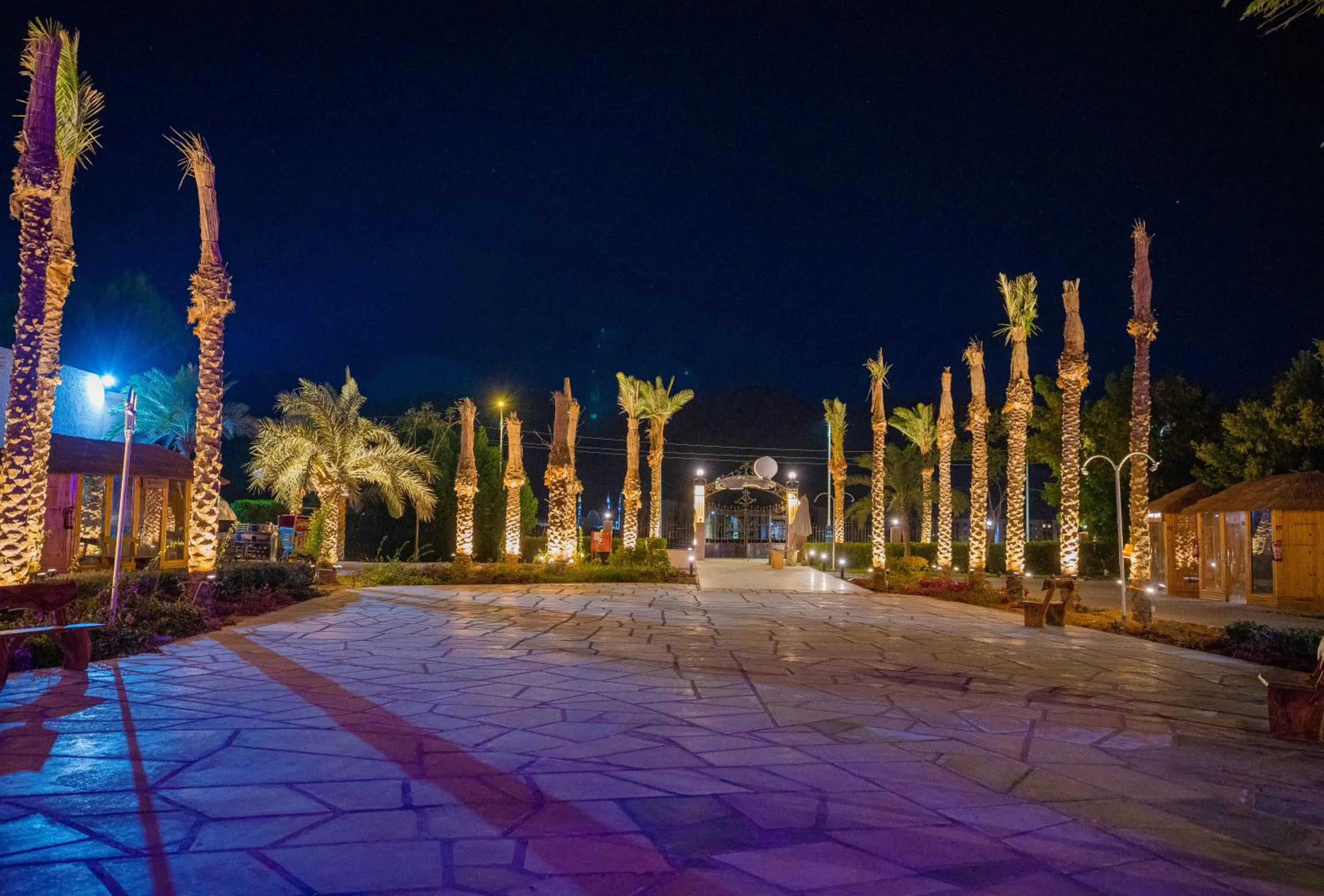 Night in Nuweiba Club Resort