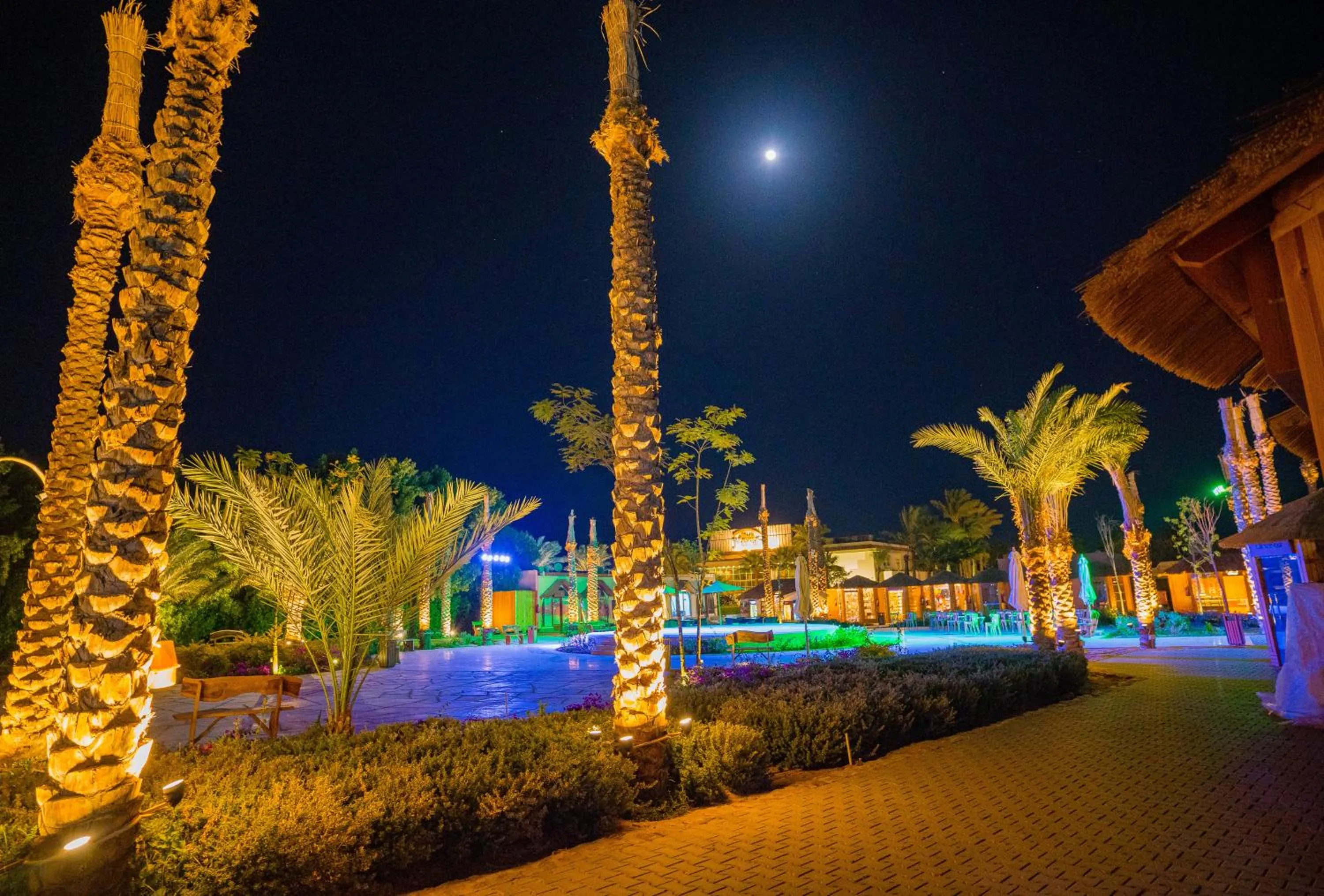 Night in Nuweiba Club Resort