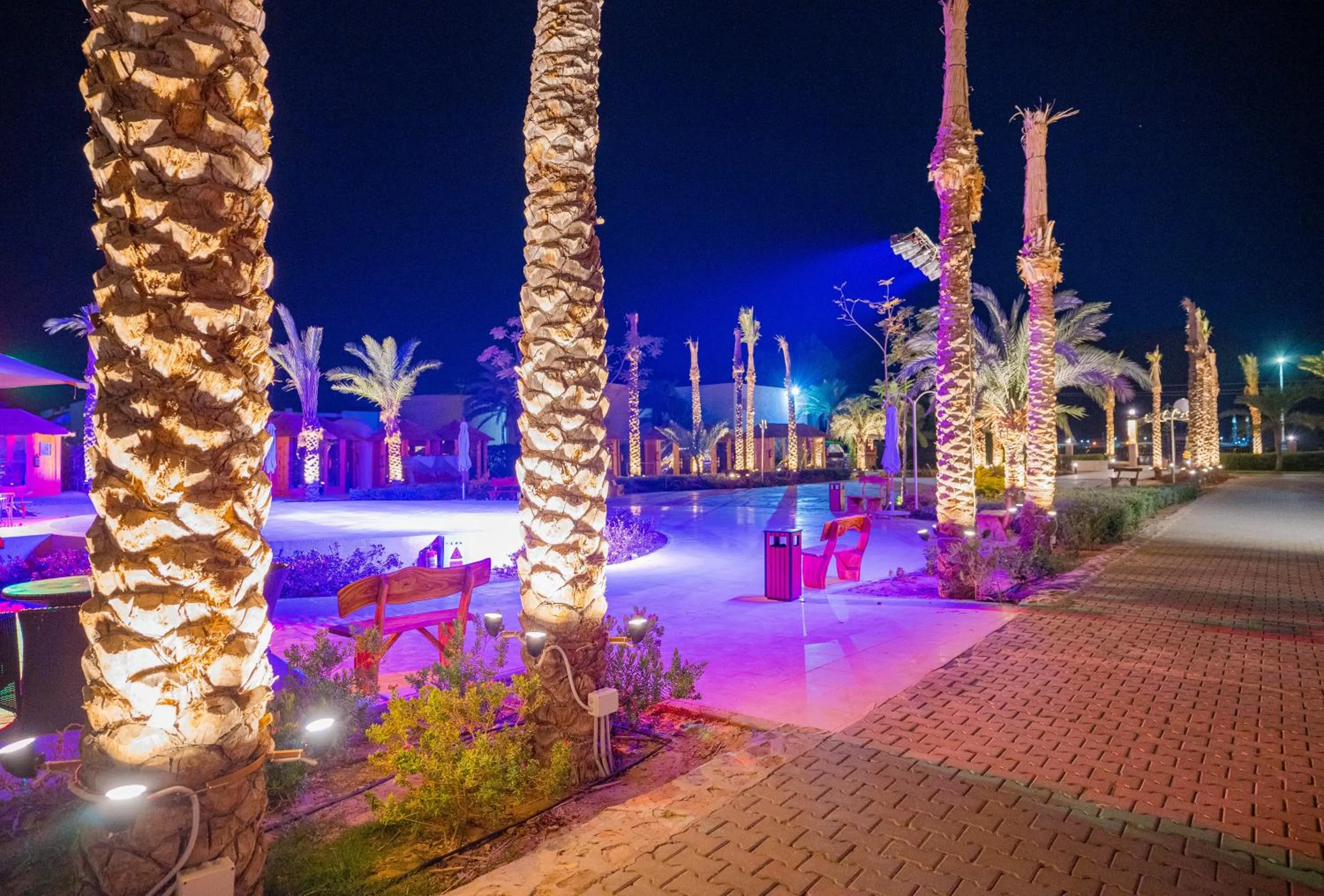 Night in Nuweiba Club Resort