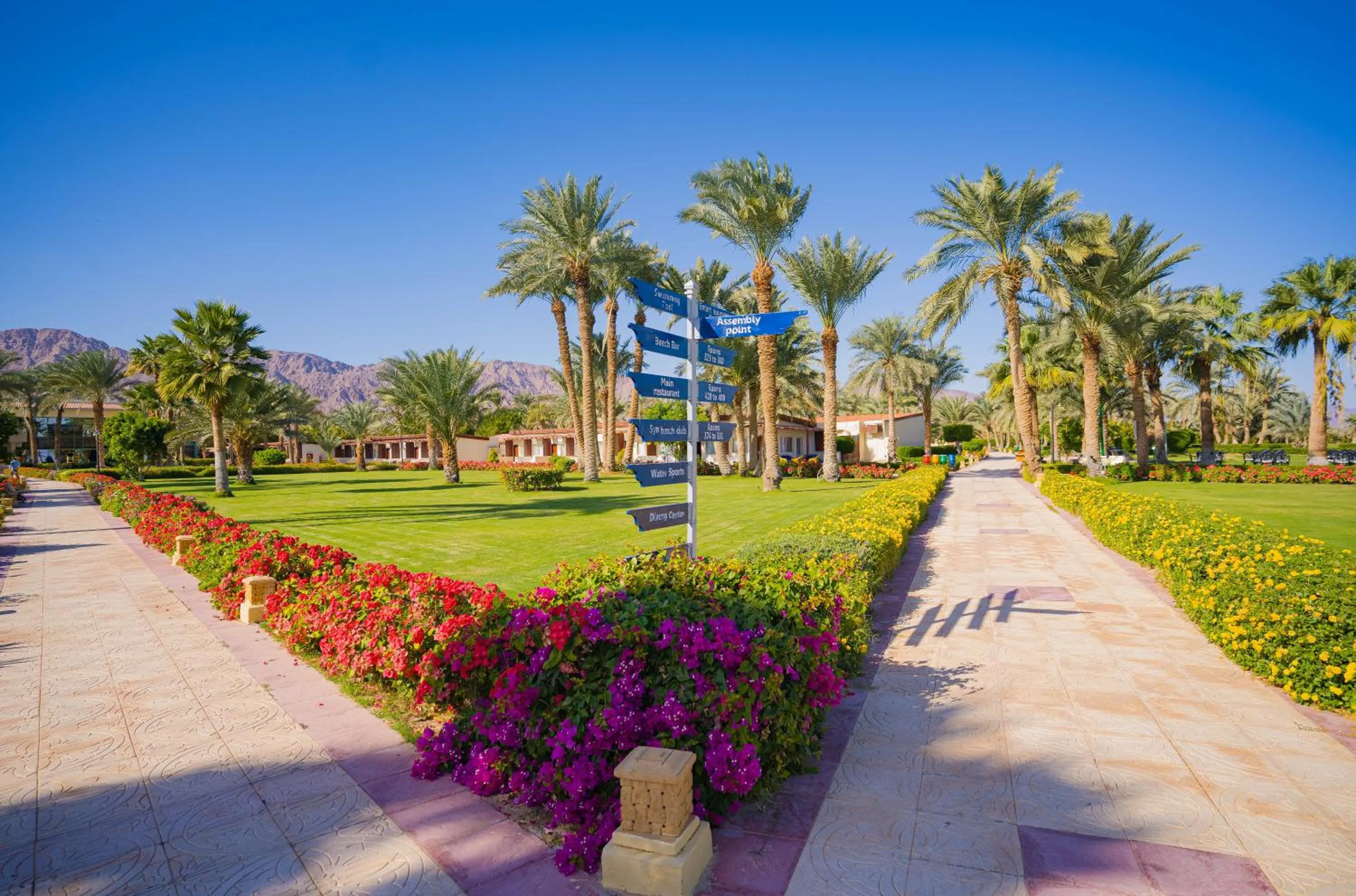 Spring in Nuweiba Club Resort