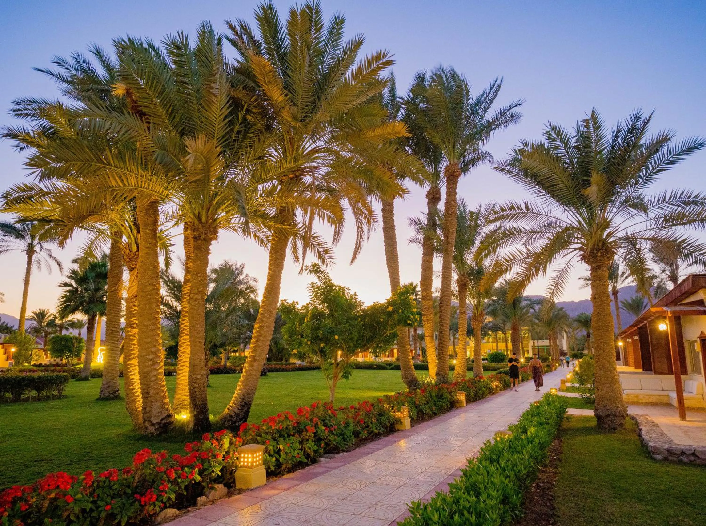 Spring in Nuweiba Club Resort