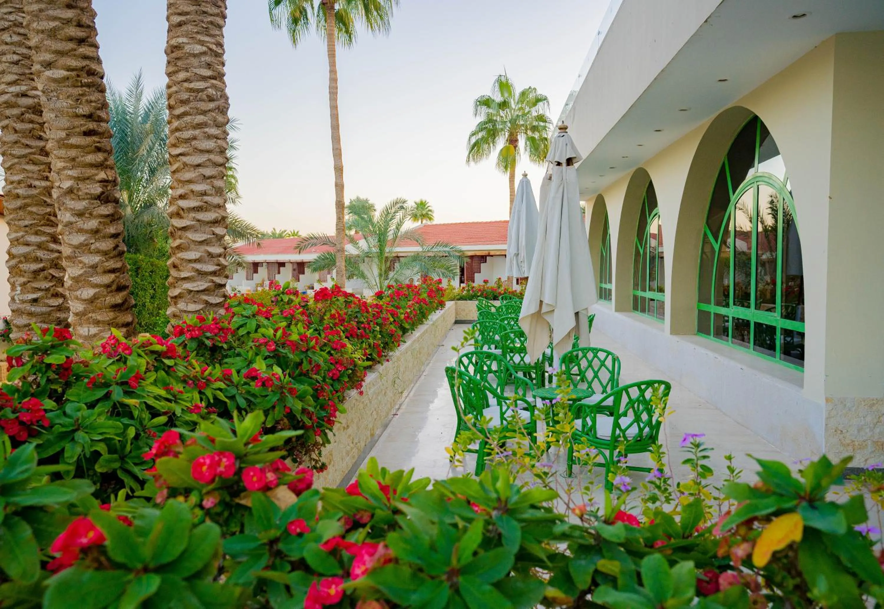 Spring in Nuweiba Club Resort