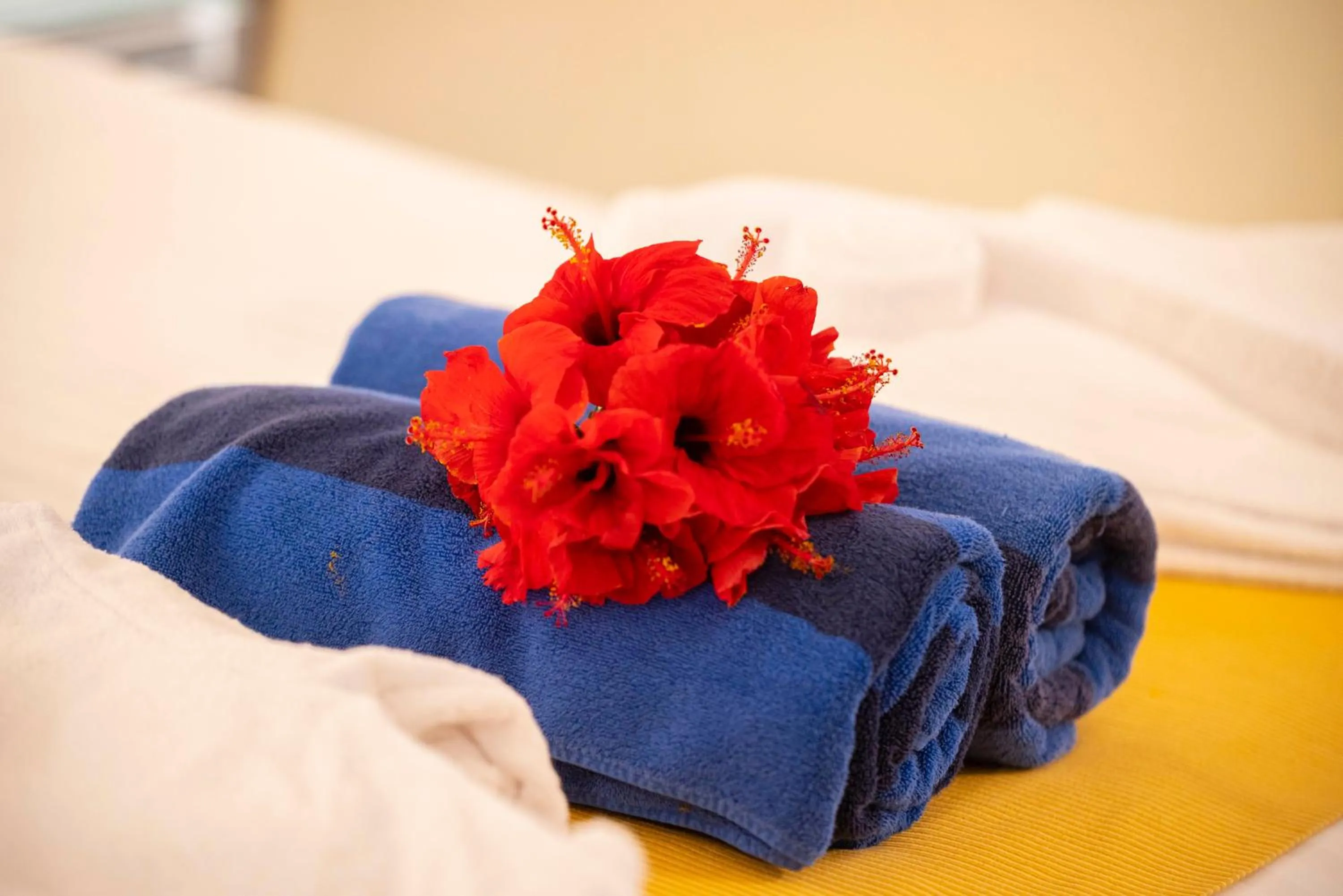 towels, Bed in Nuweiba Club Resort