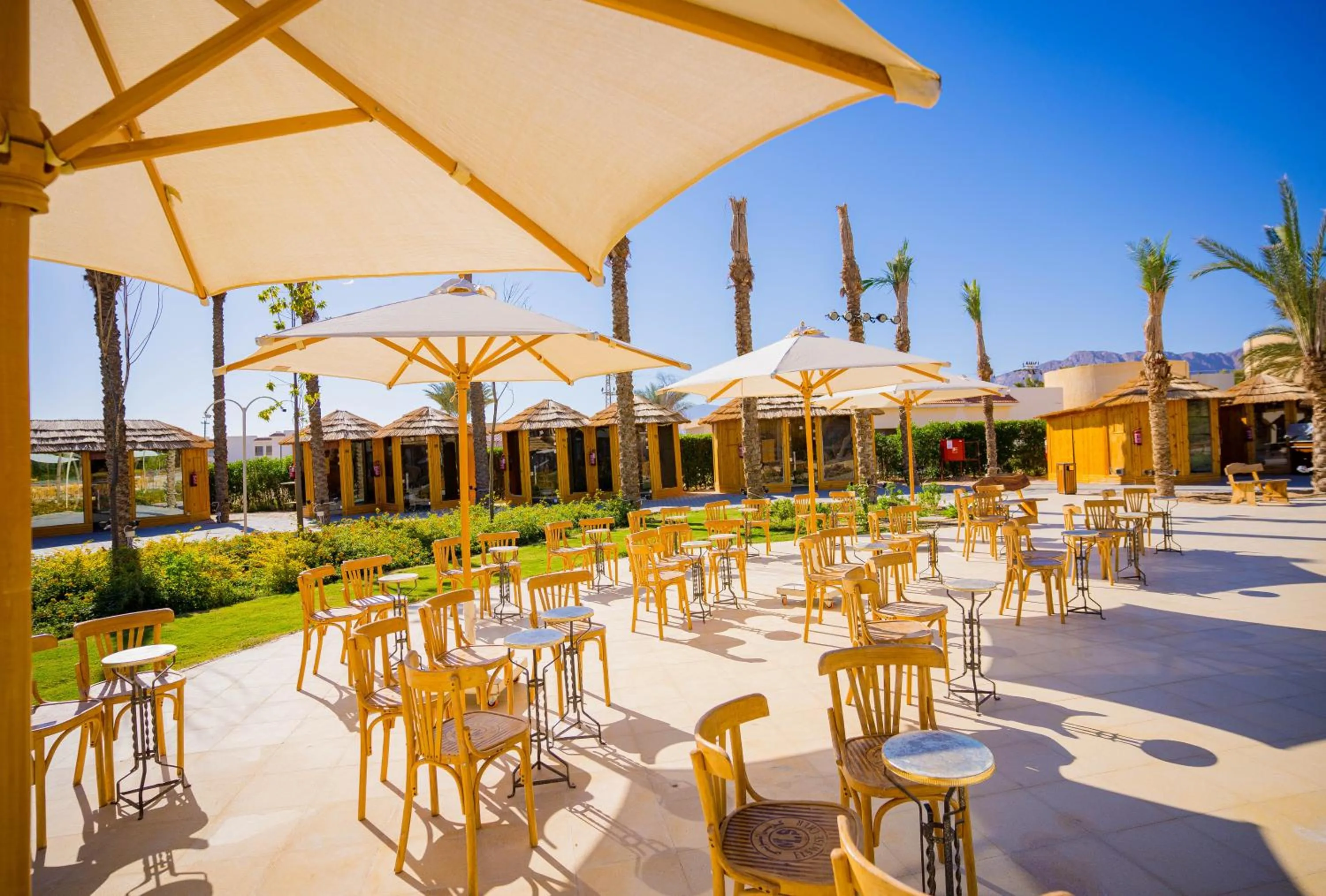 Day in Nuweiba Club Resort