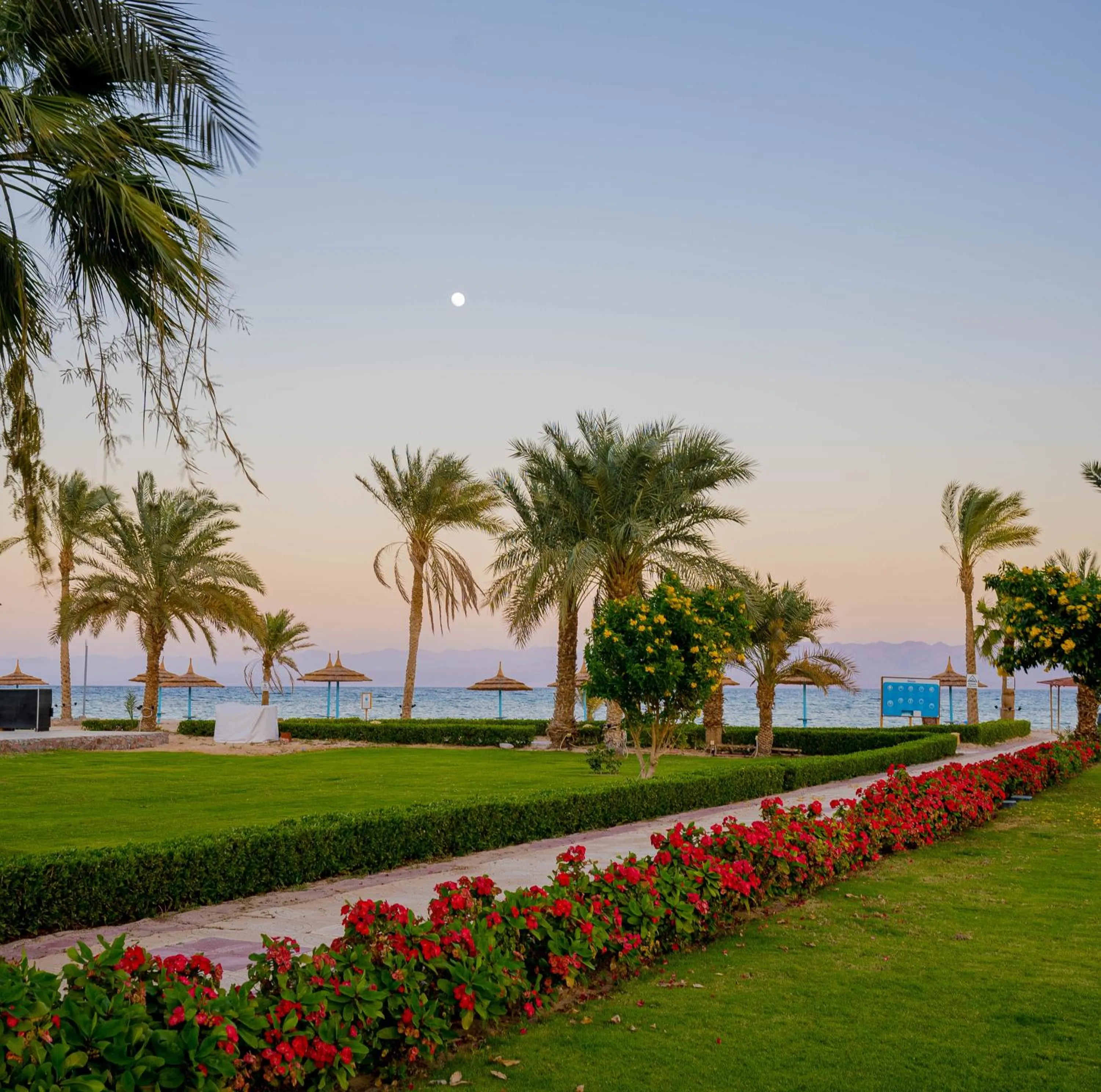 Spring in Nuweiba Club Resort