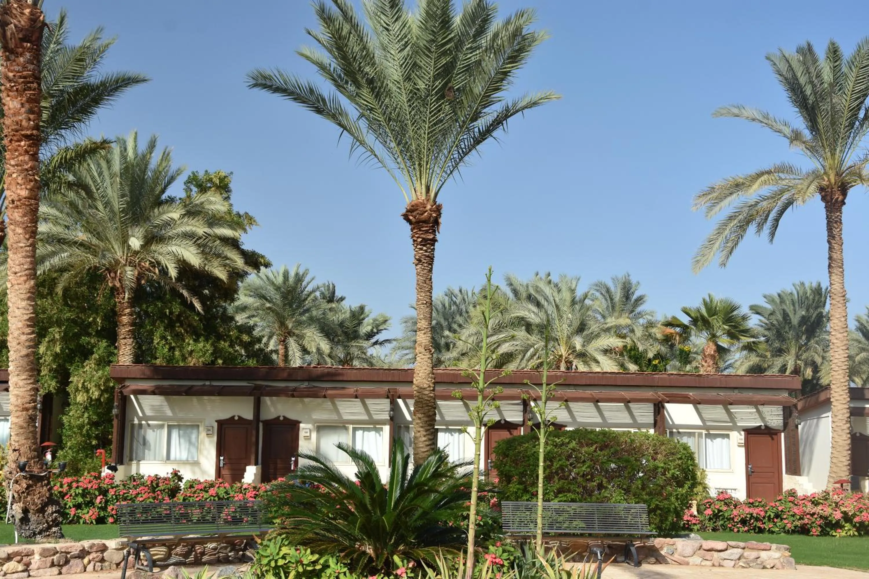 Nuweiba Club Resort