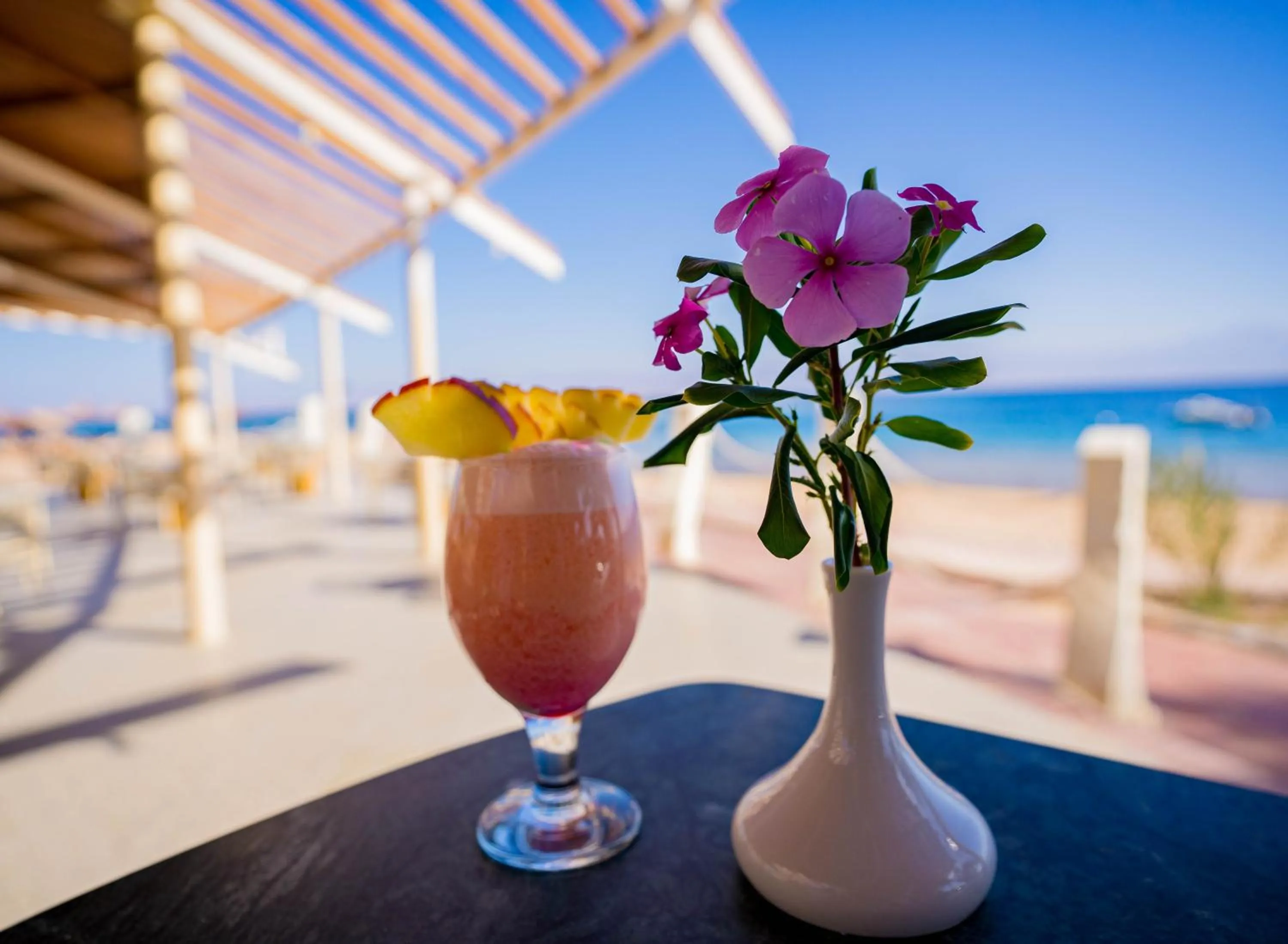 Day in Nuweiba Club Resort