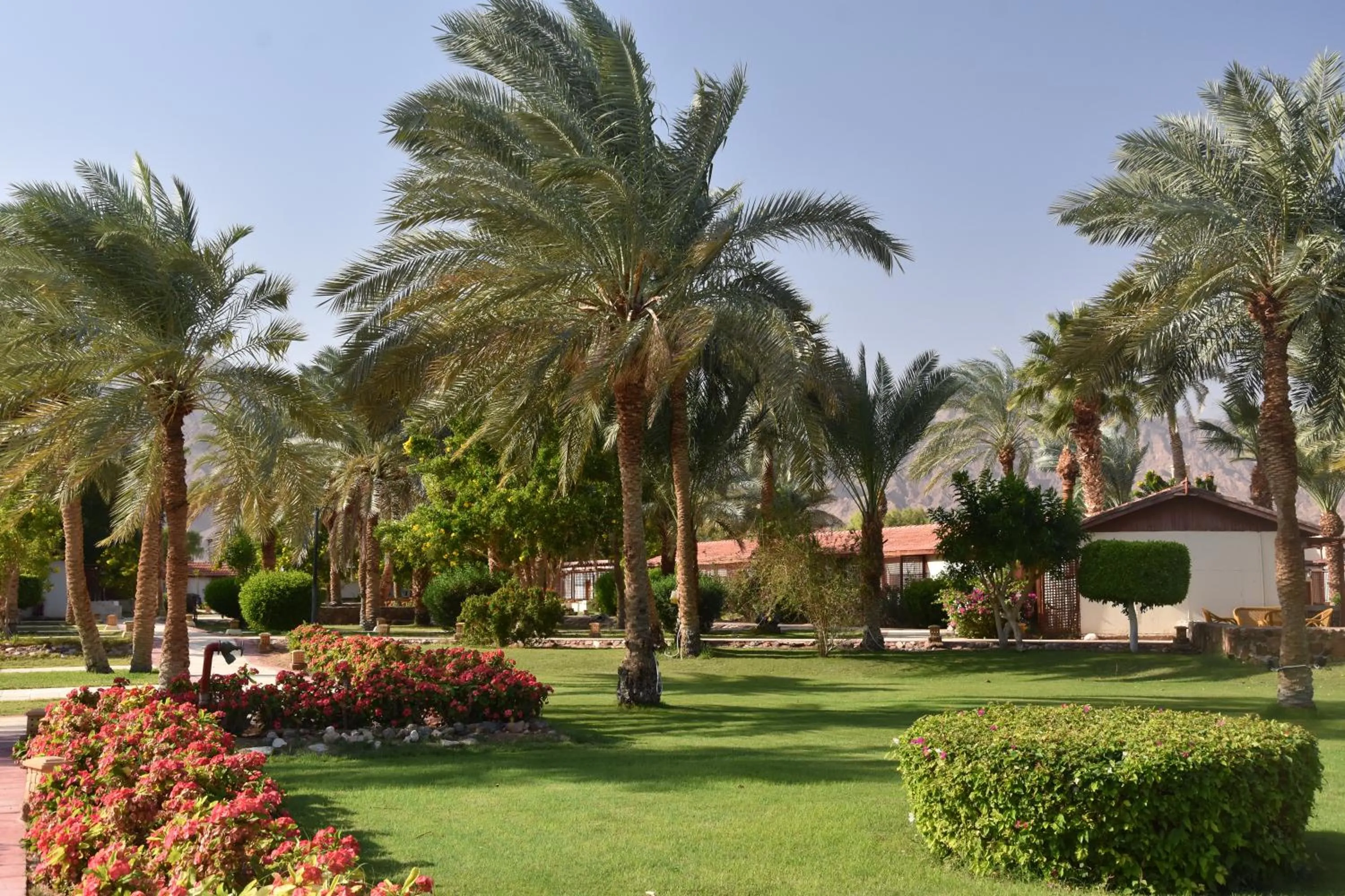 Nuweiba Club Resort