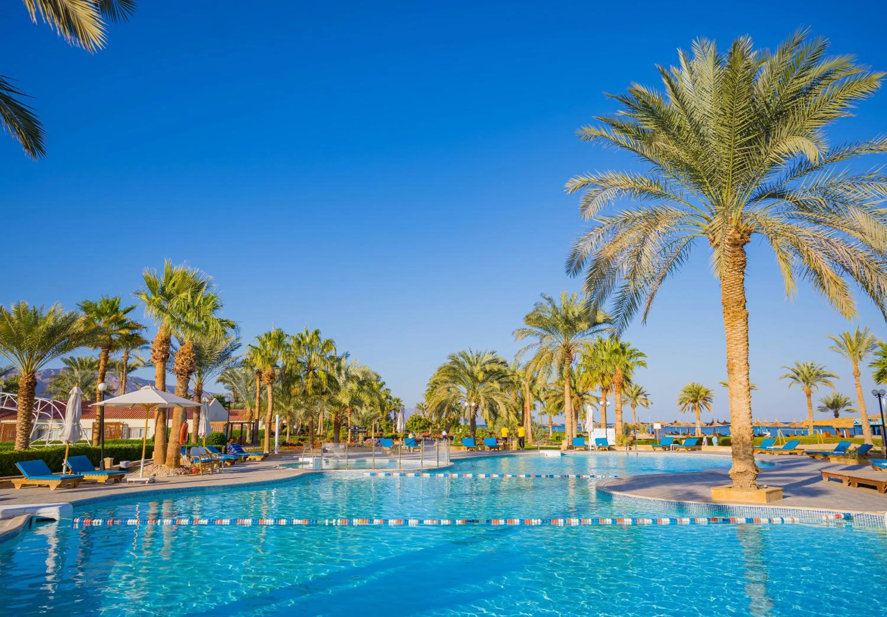 Pool view in Nuweiba Club Resort