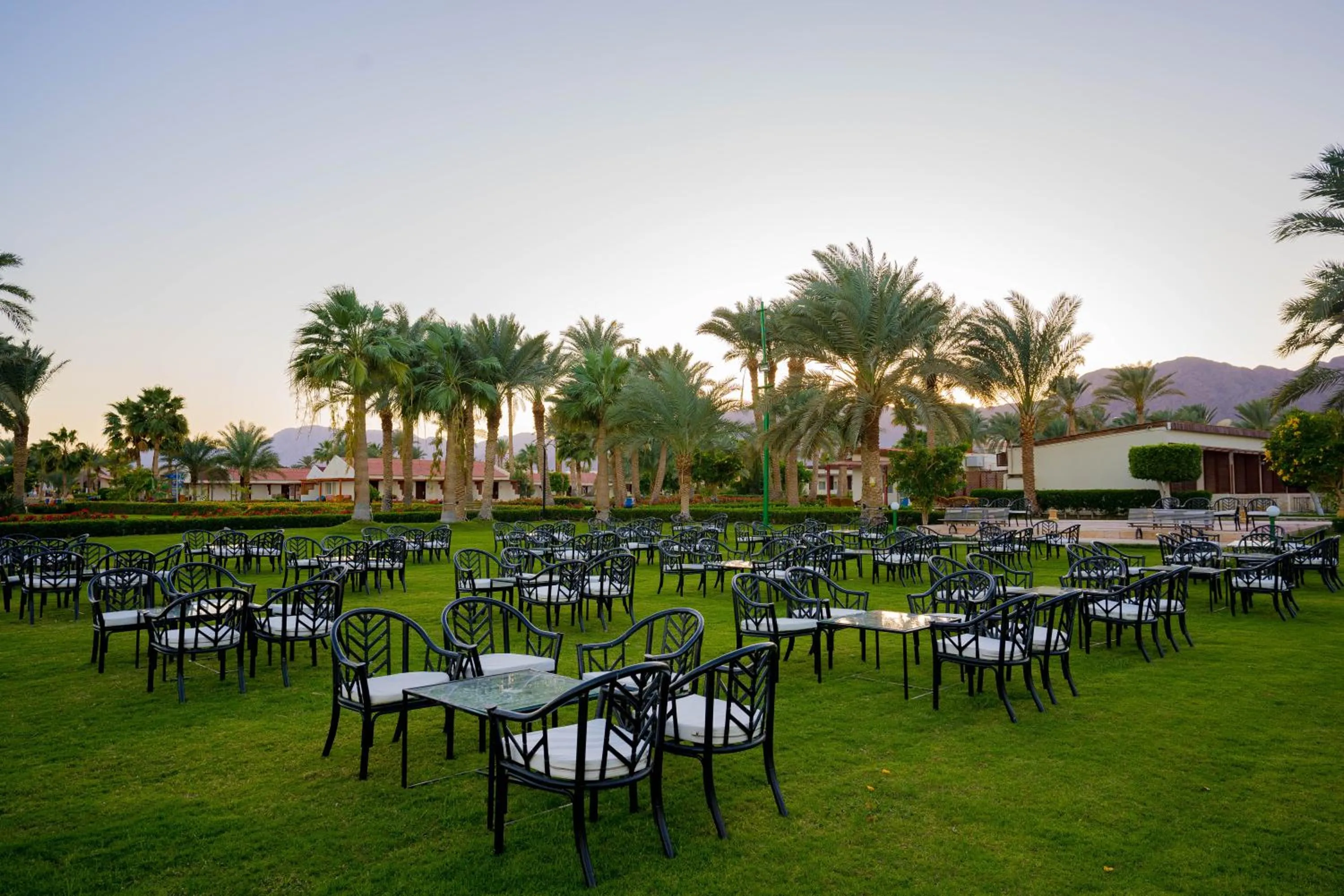 Spring in Nuweiba Club Resort