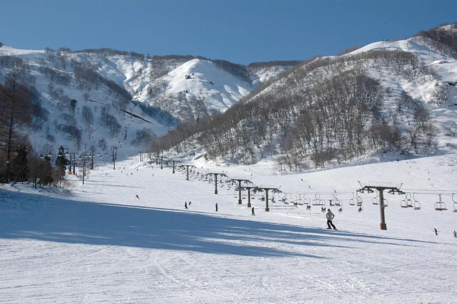 Natural landscape in K's House Hakuba Alps - Travelers Hostel