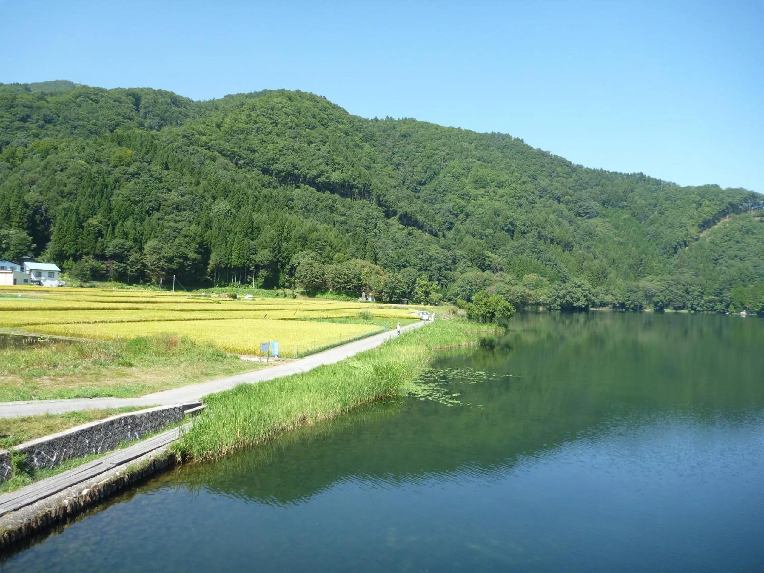 Natural landscape in K's House Hakuba Alps - Travelers Hostel