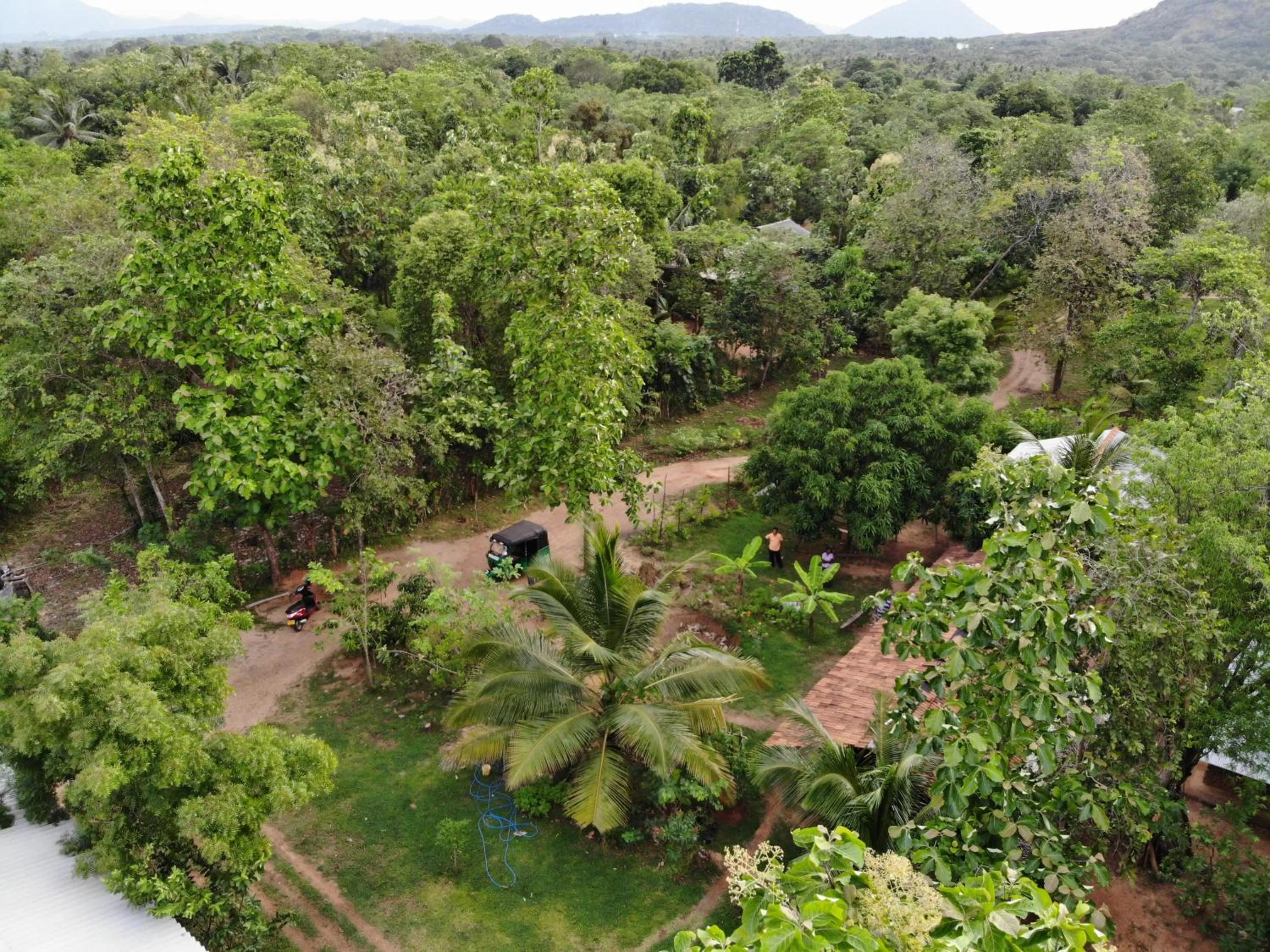 Garden view in Araliya Self Cooking Resort Dambulla