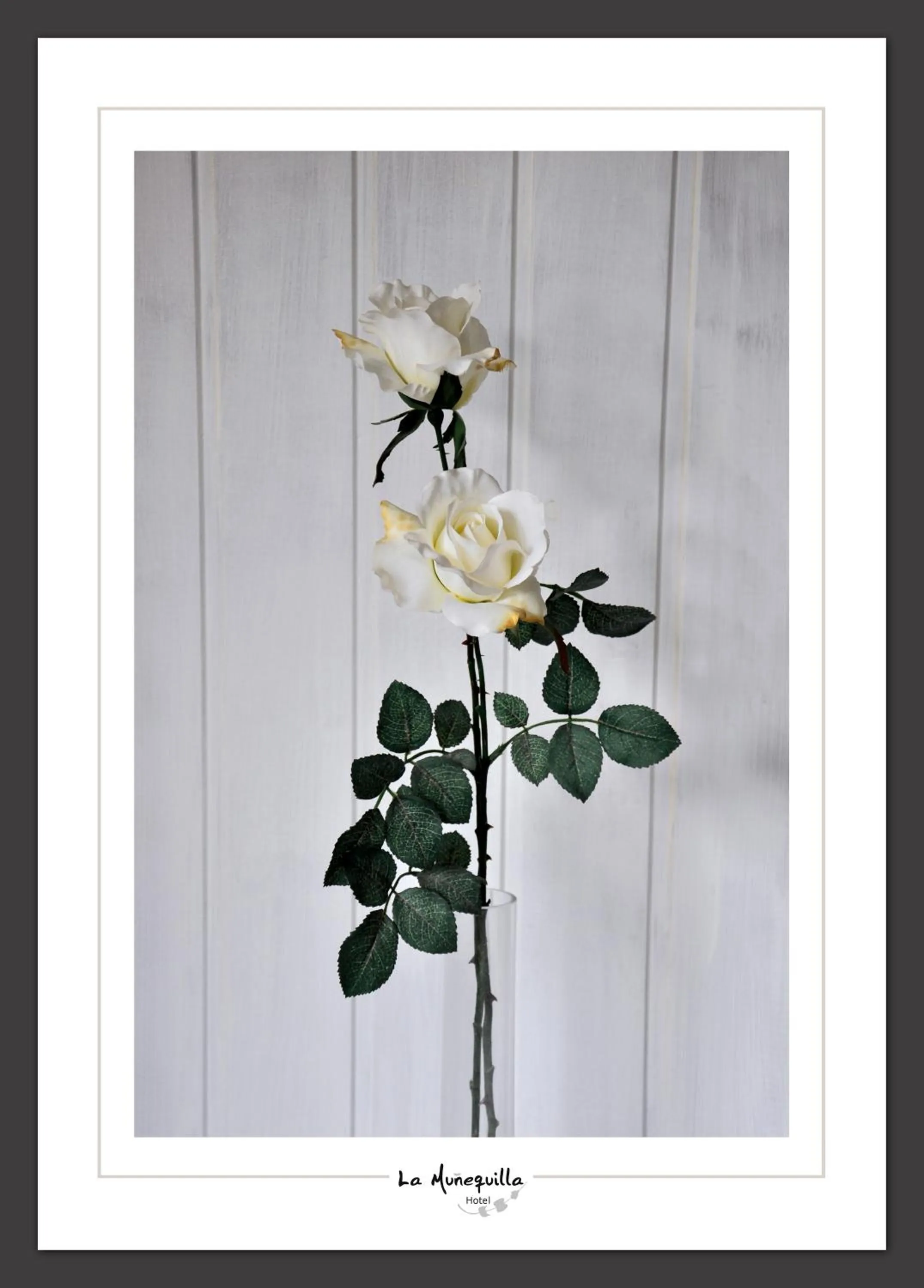 Bathroom in Hotel la Muñequilla