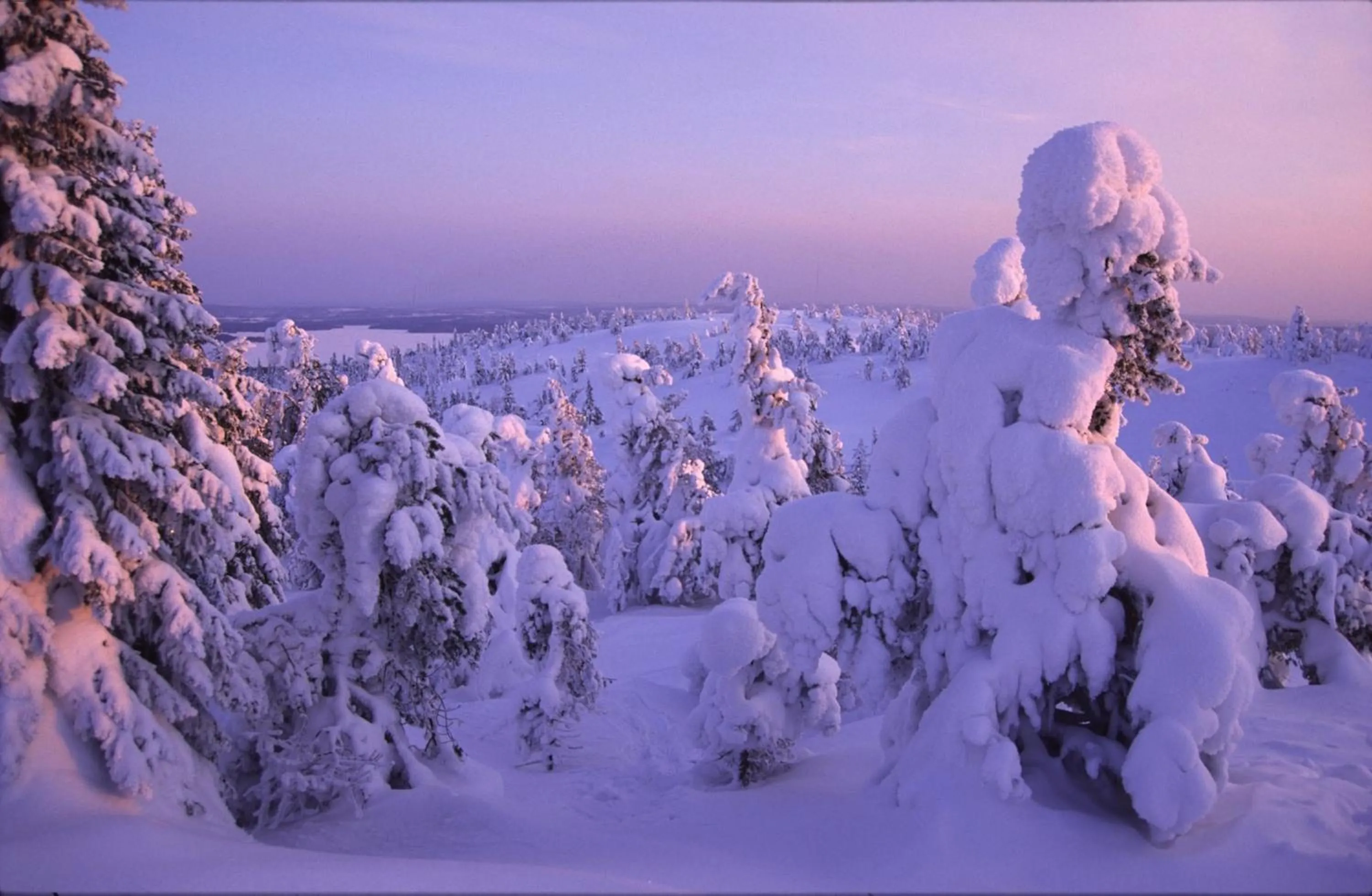 Natural landscape in Hotel Royal Ruka
