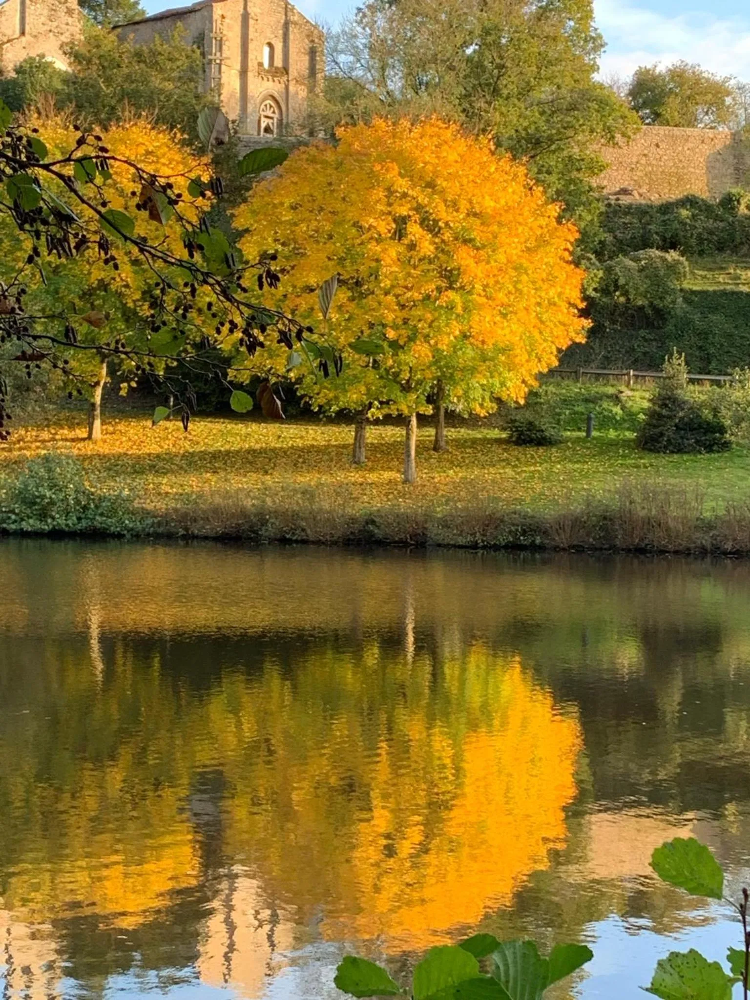 Natural landscape in Hôtel De La Barbacane