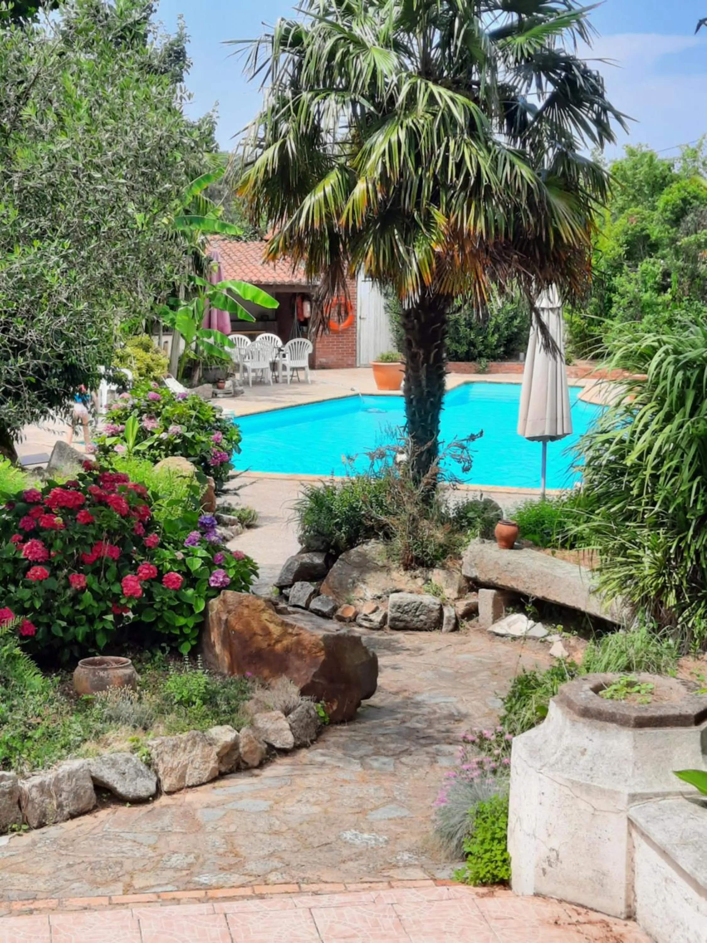 Swimming pool in Hôtel De La Barbacane