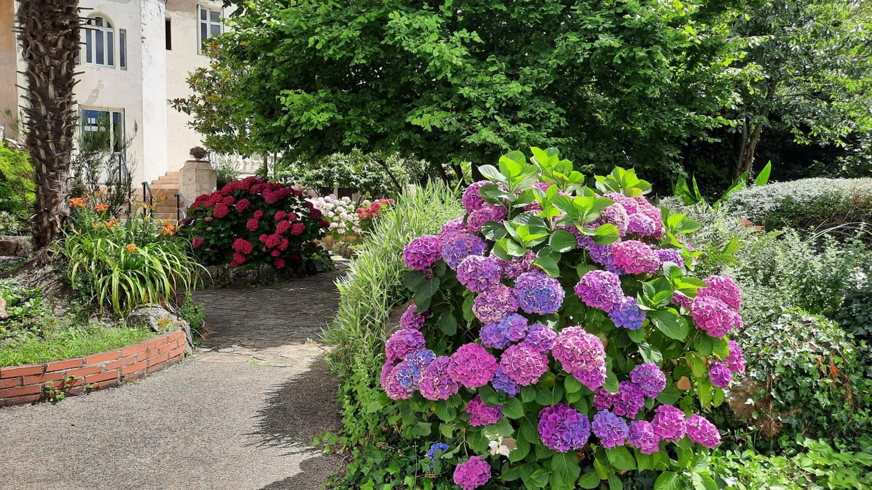 Garden in Hôtel De La Barbacane