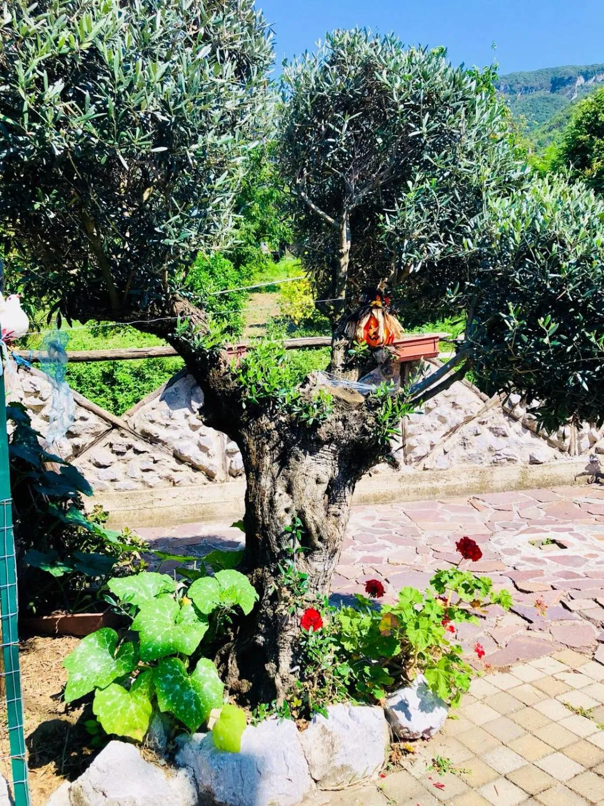 Agriturismo A do' Cumparone