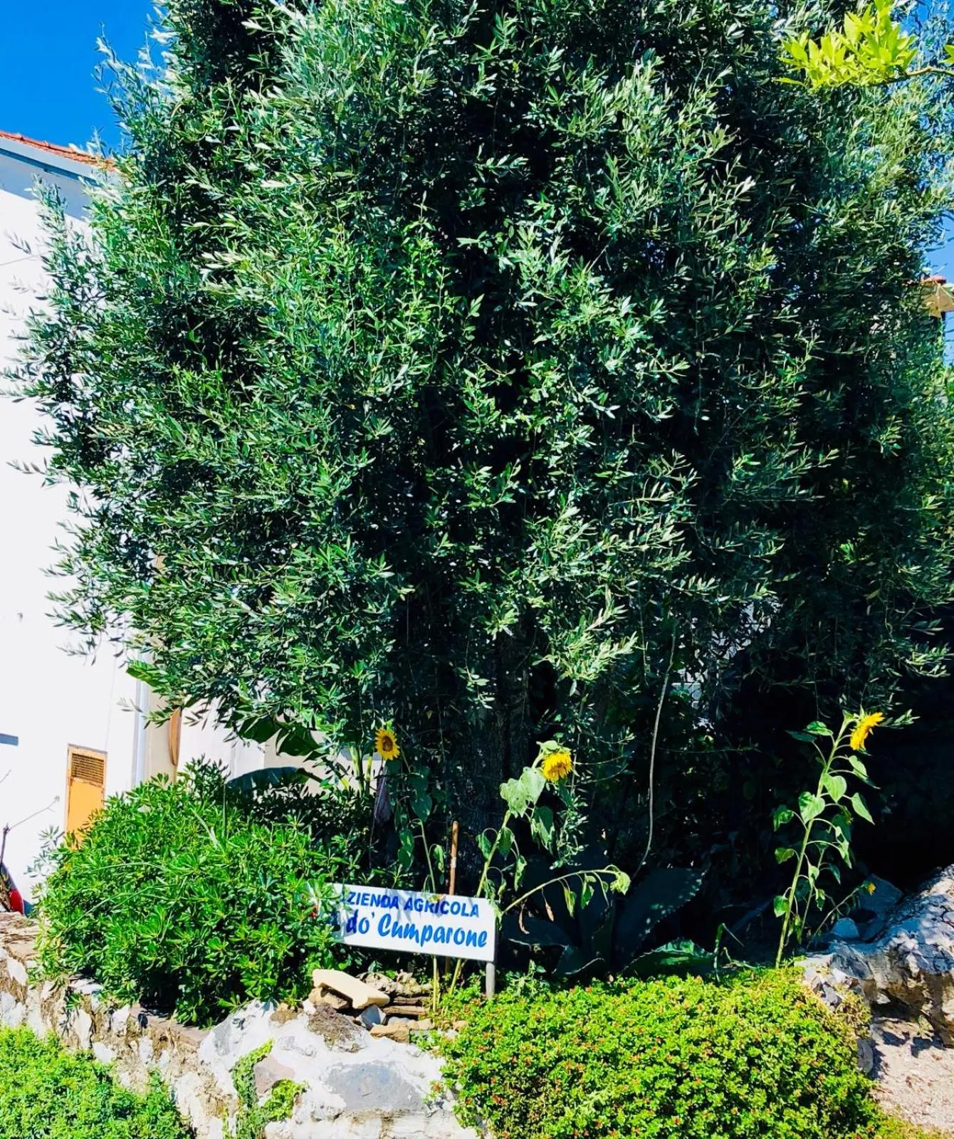 Agriturismo A do' Cumparone