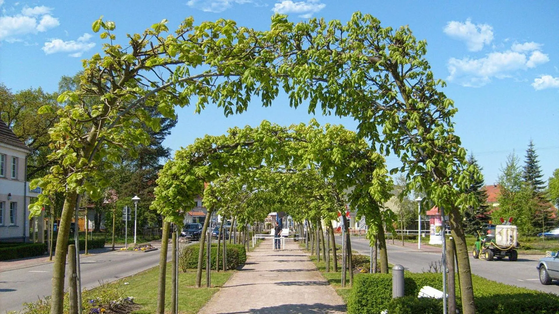 Area and facilities in Ferienhaus Seepferdchen