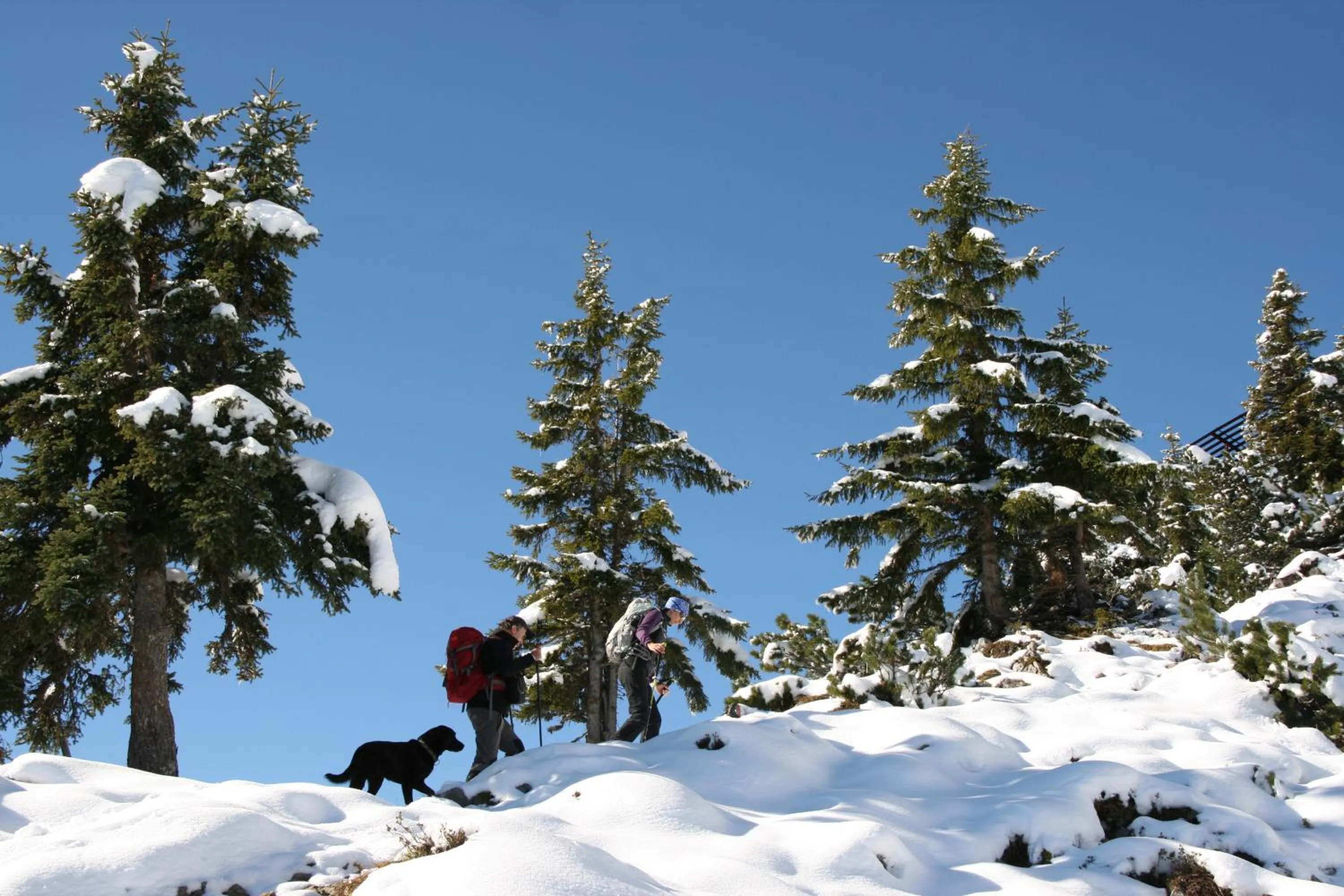Hiking in Hotel Zerres