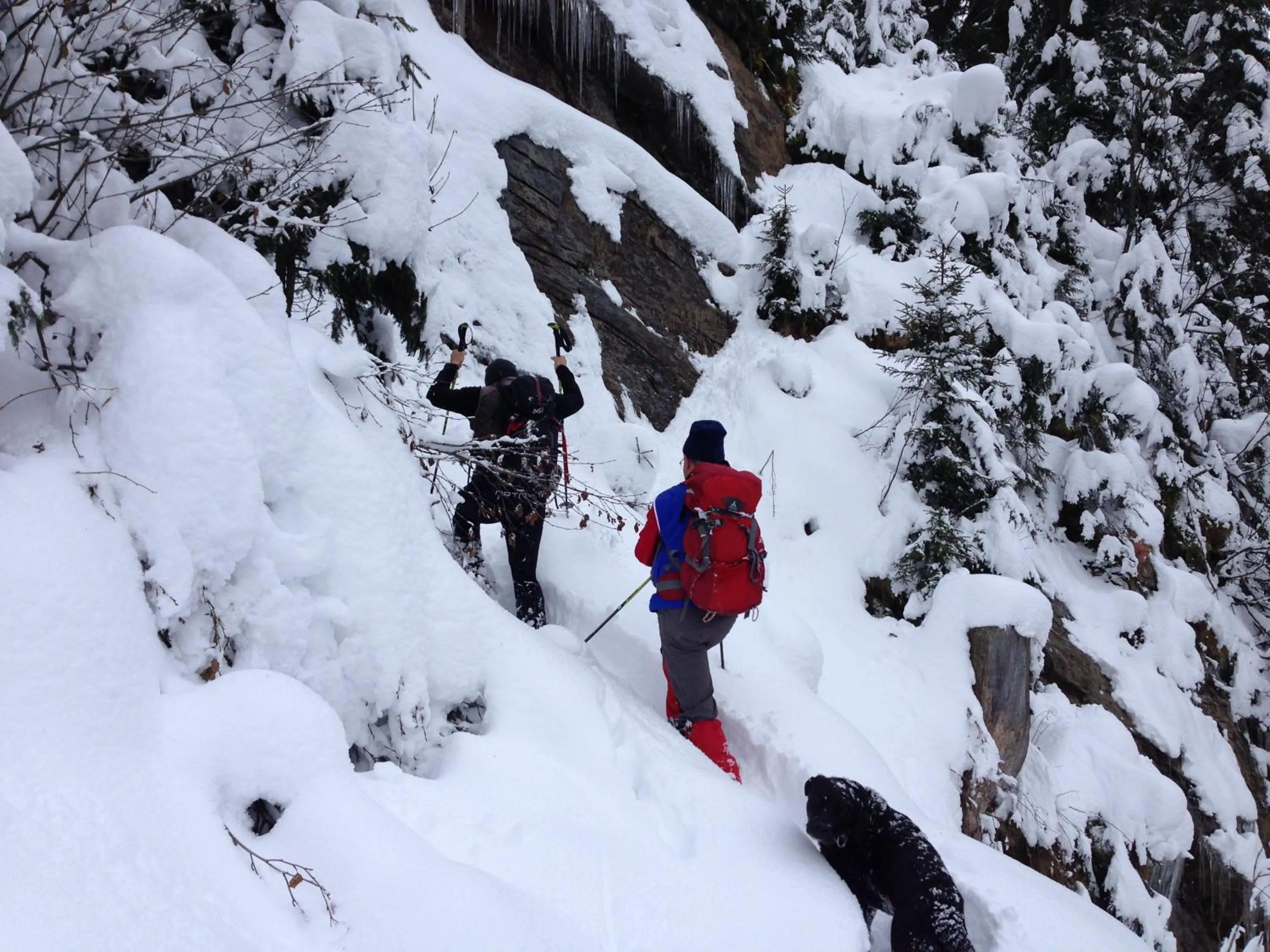 Hiking in Hotel Zerres