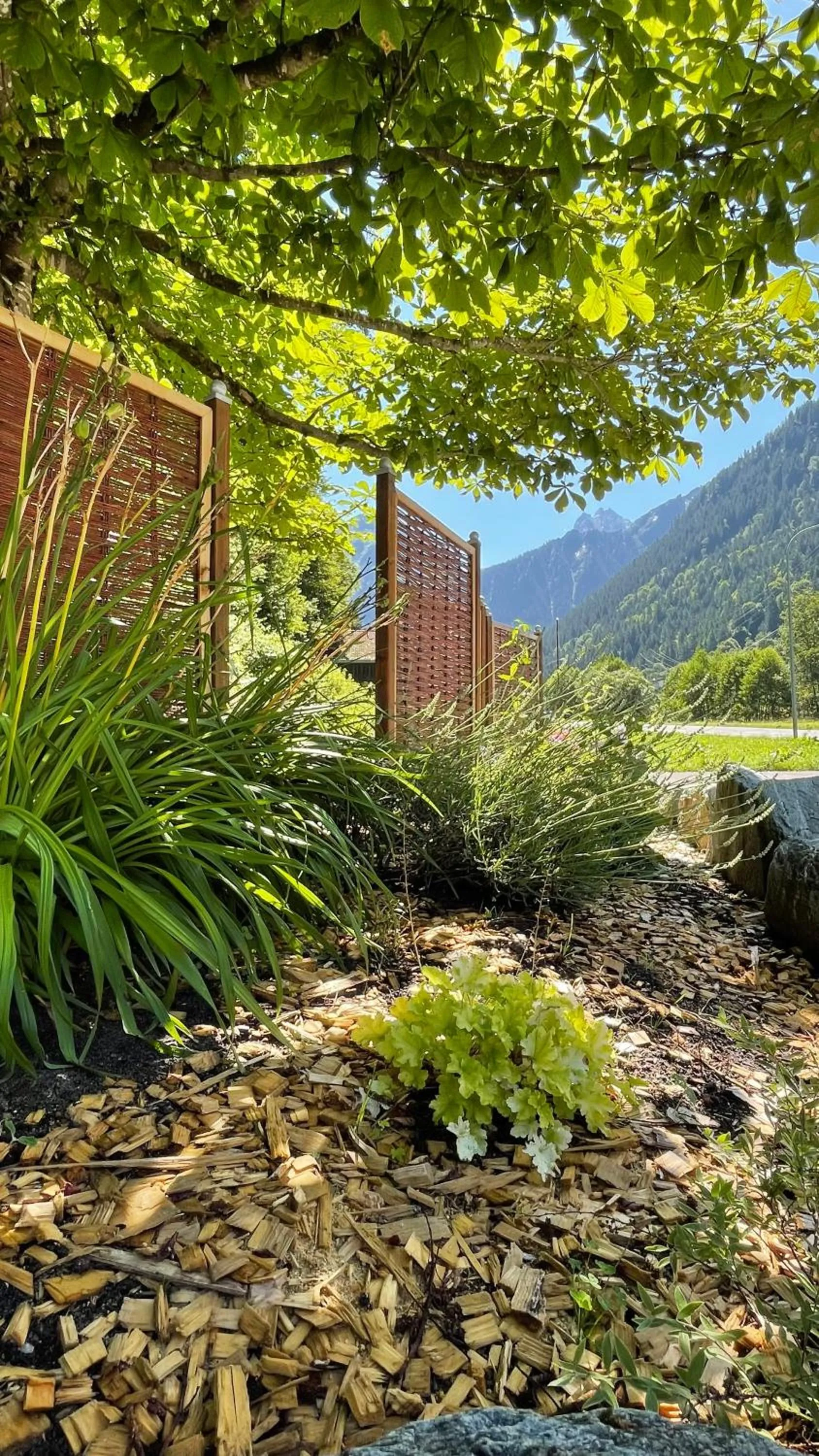 Garden in Hotel Zerres