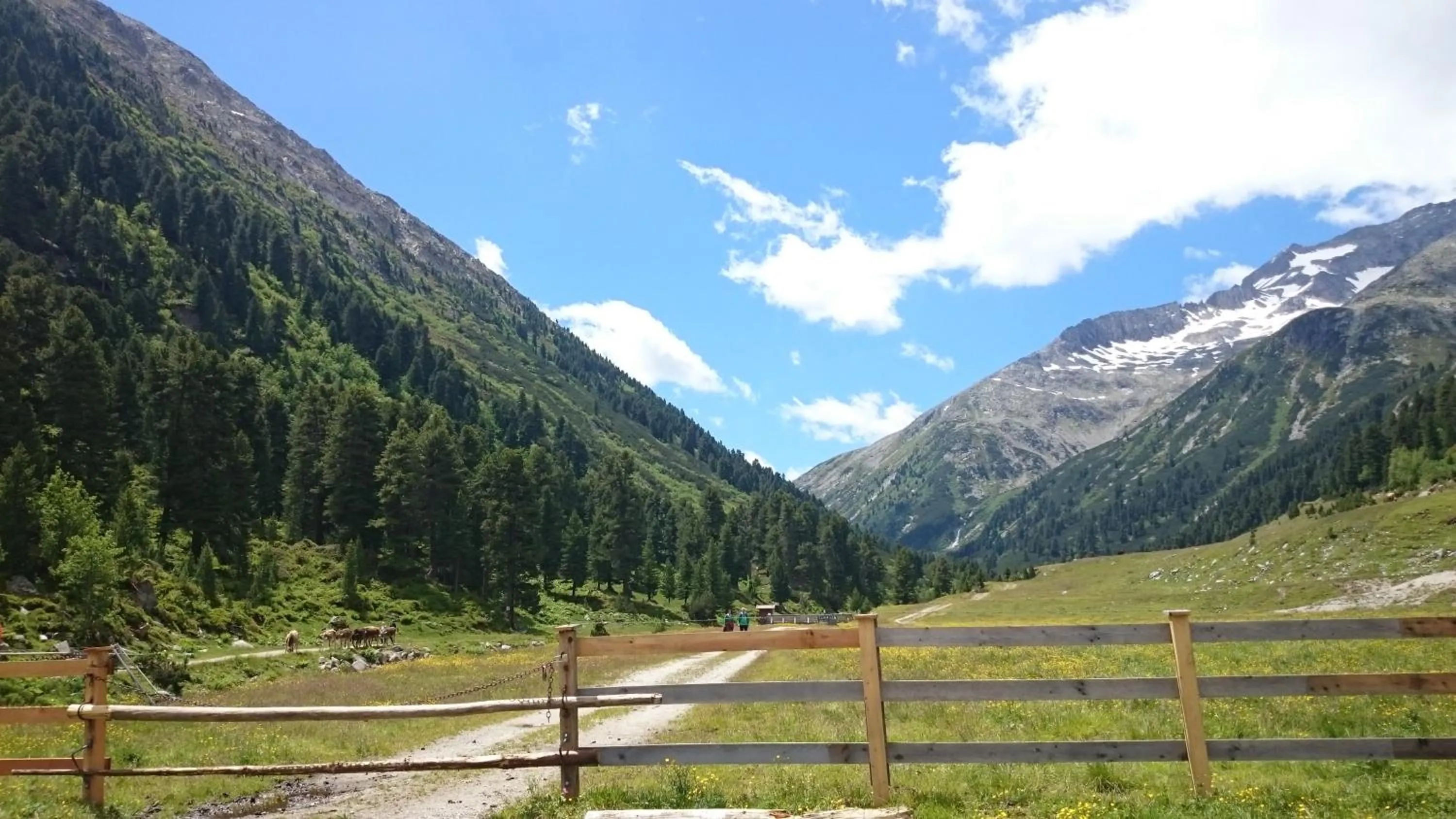 Natural landscape in Hotel Eckartauerhof