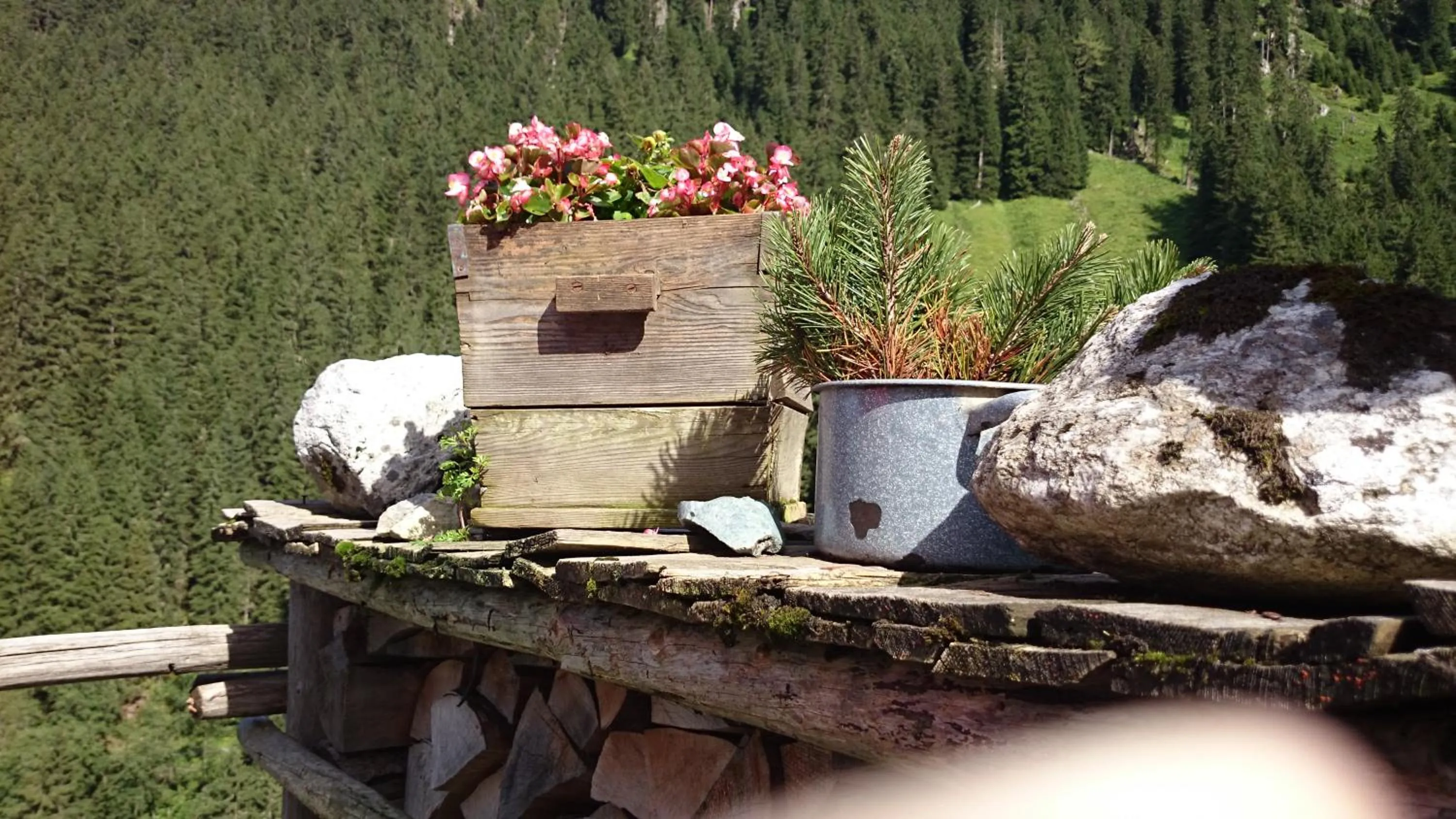 Hiking in Hotel Eckartauerhof