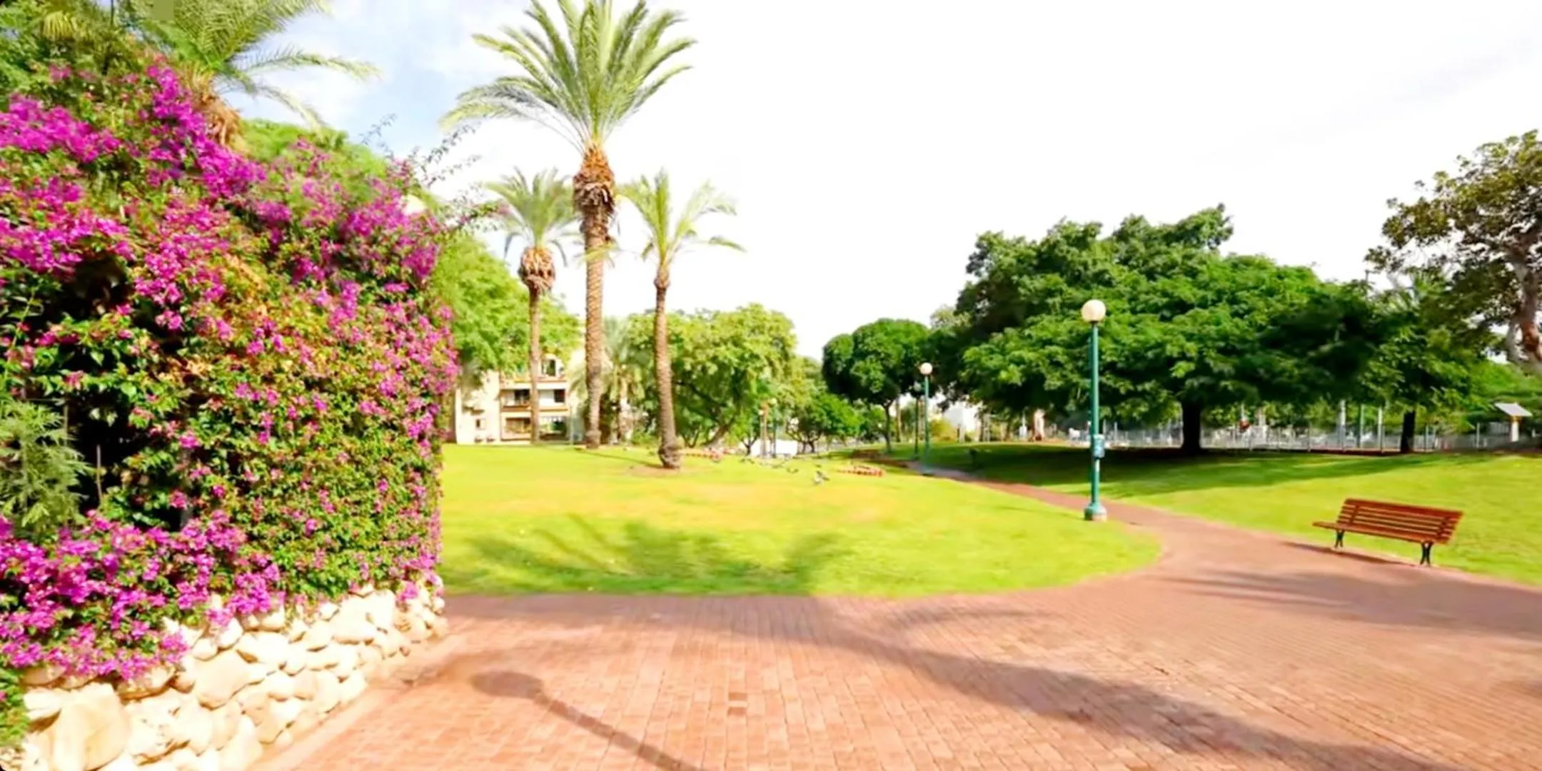 Garden in 612 apartment on the beach