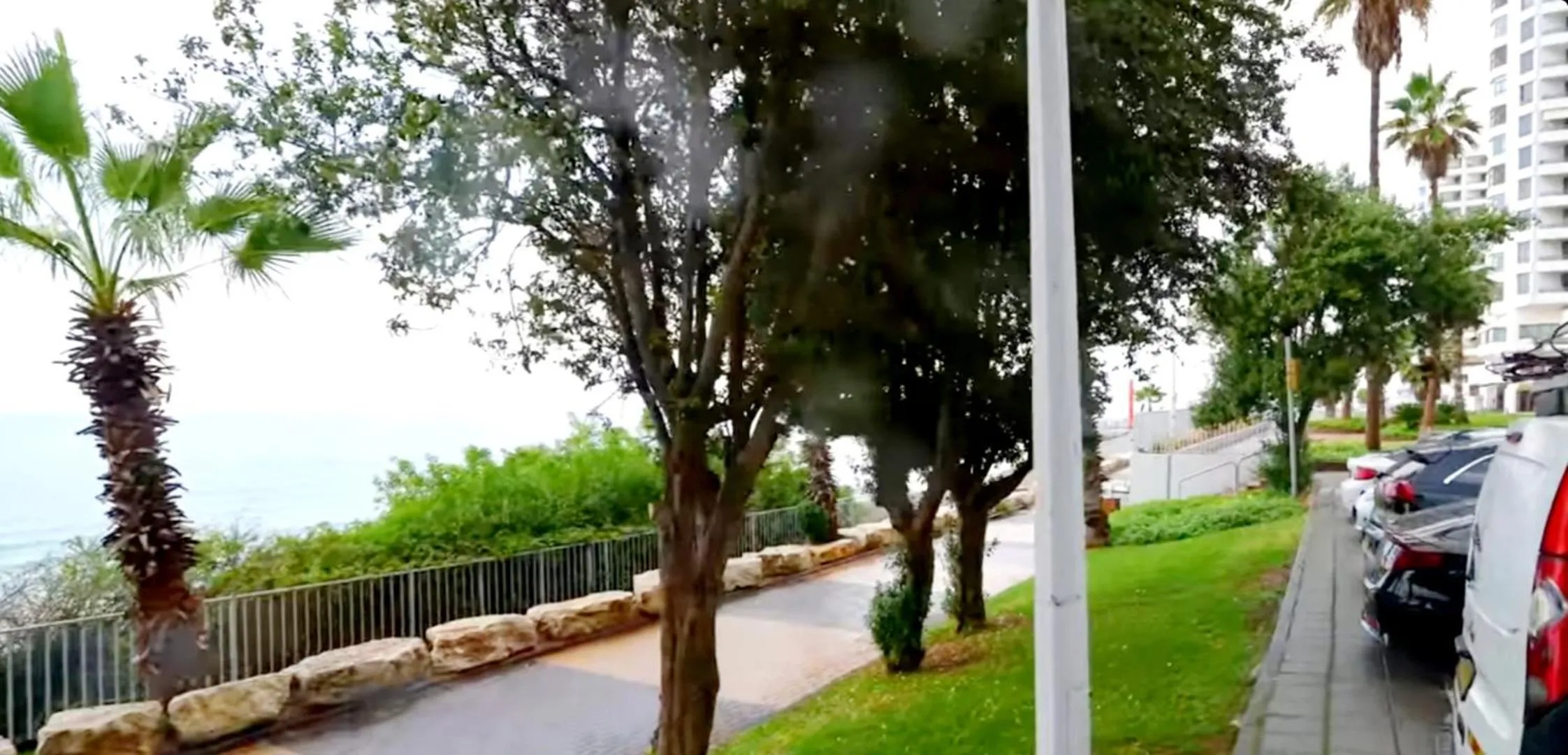 Garden view in 612 apartment on the beach