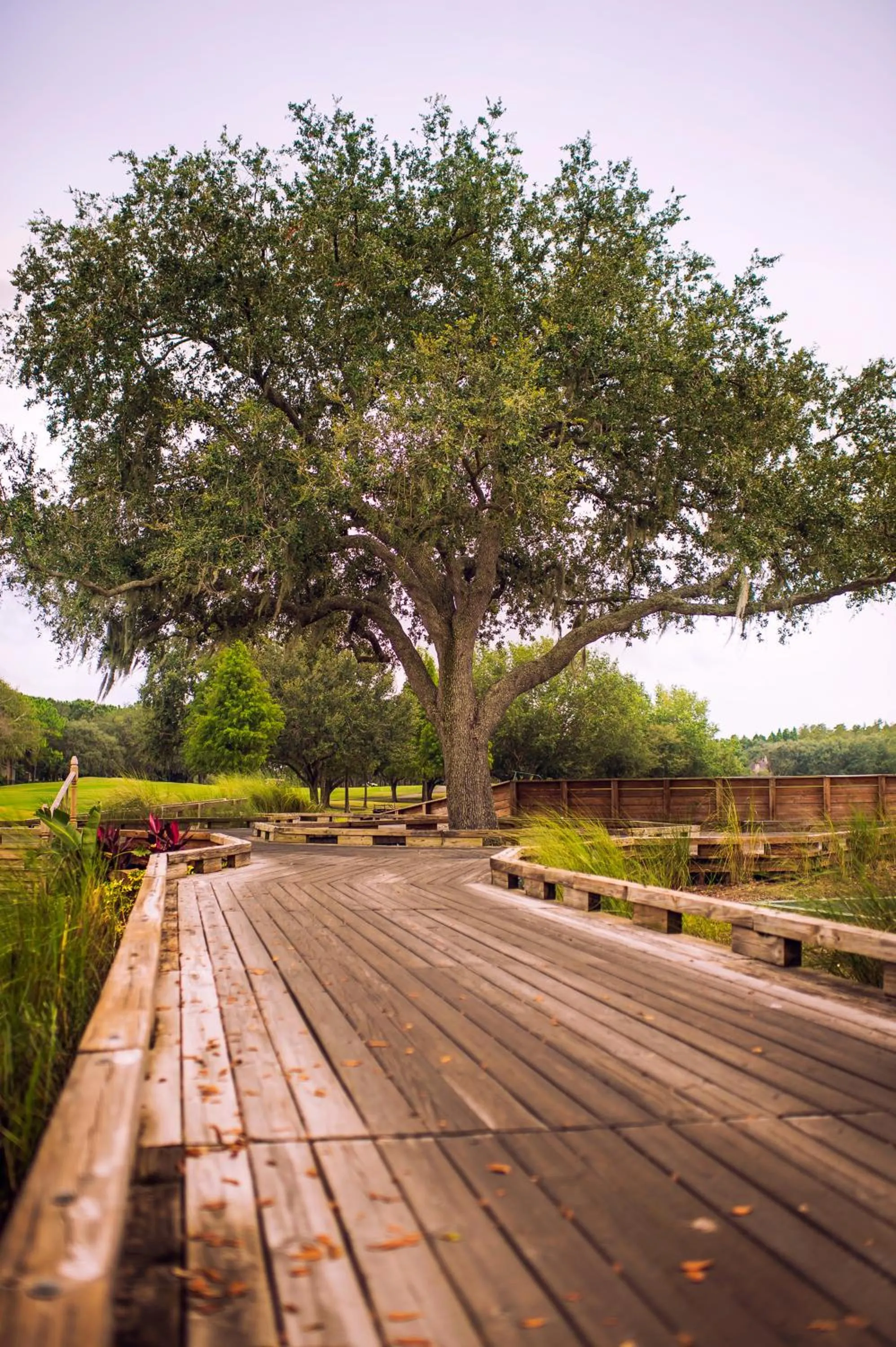 Day in Emerald Greens Condo Resort