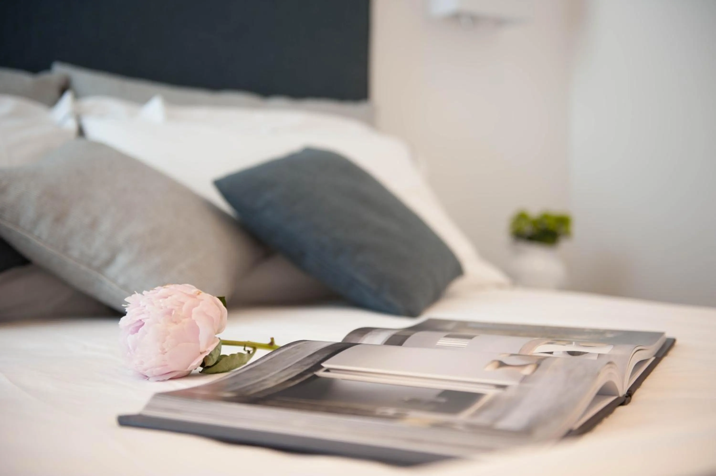 Bed in Al Pescatore - B&B