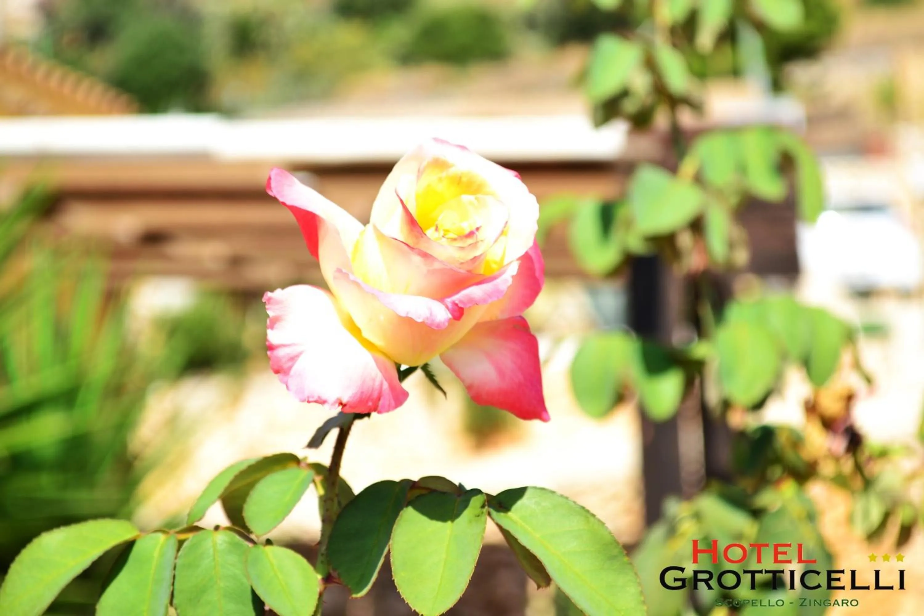 Other in Hotel Grotticelli