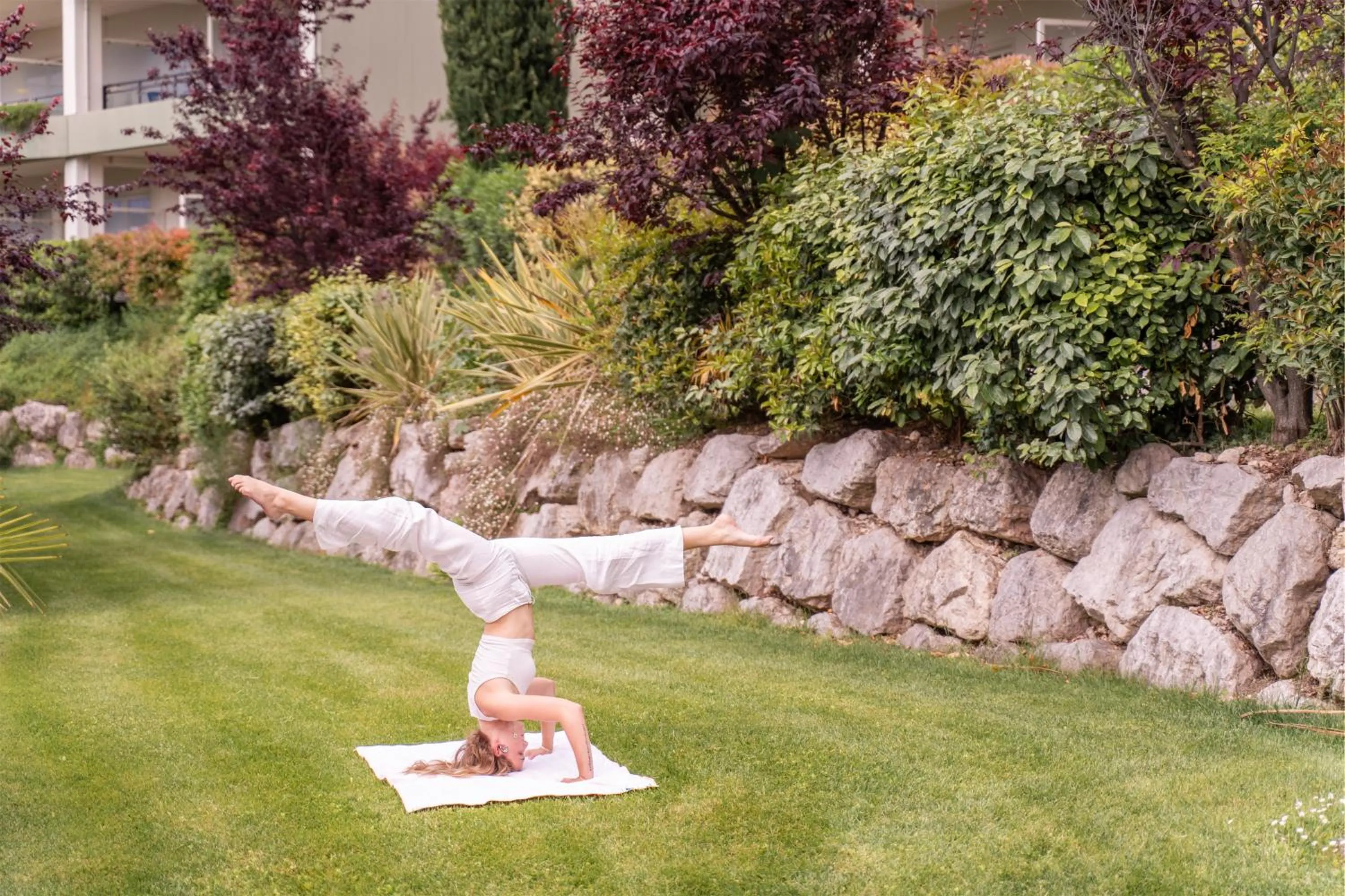 Activities in Majestic Palace