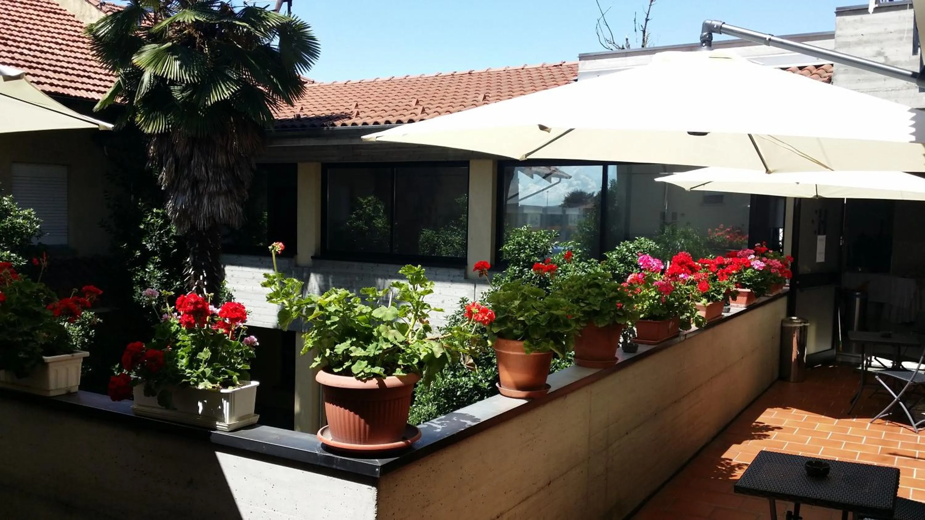Balcony/Terrace in Flying Hotel