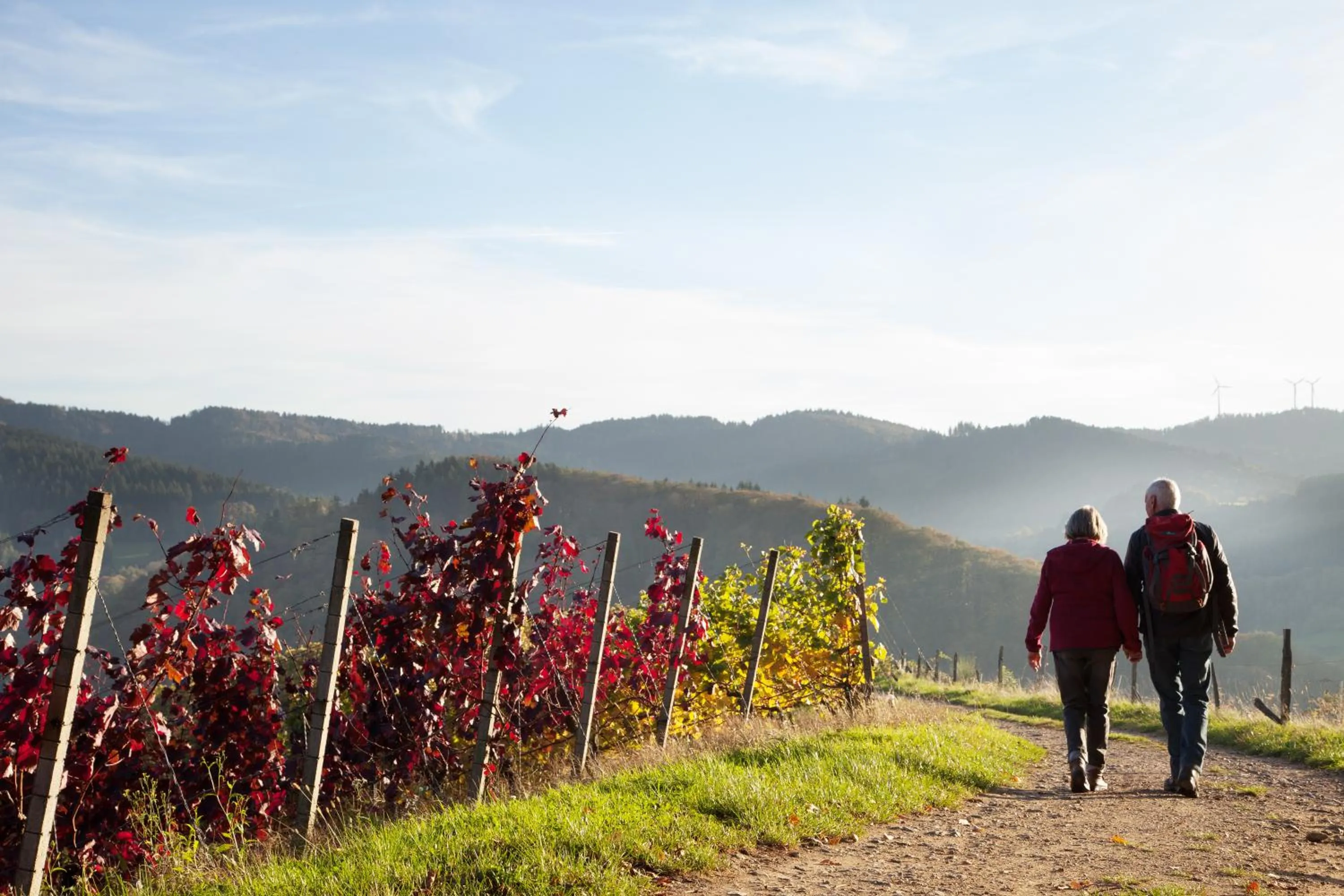 Hiking in Hotel Gasthaus Adler