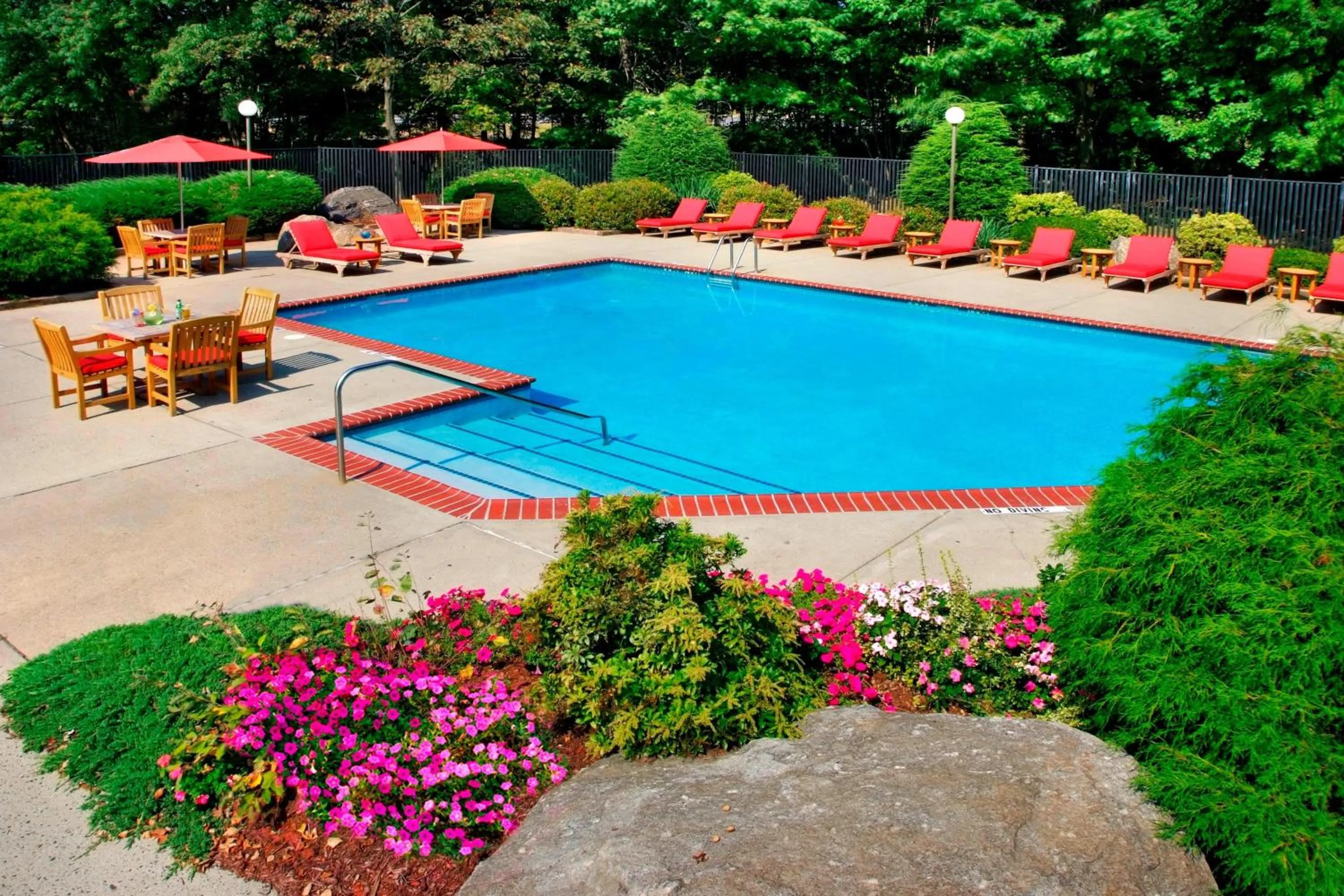 Swimming pool in Trumbull Marriott Shelton