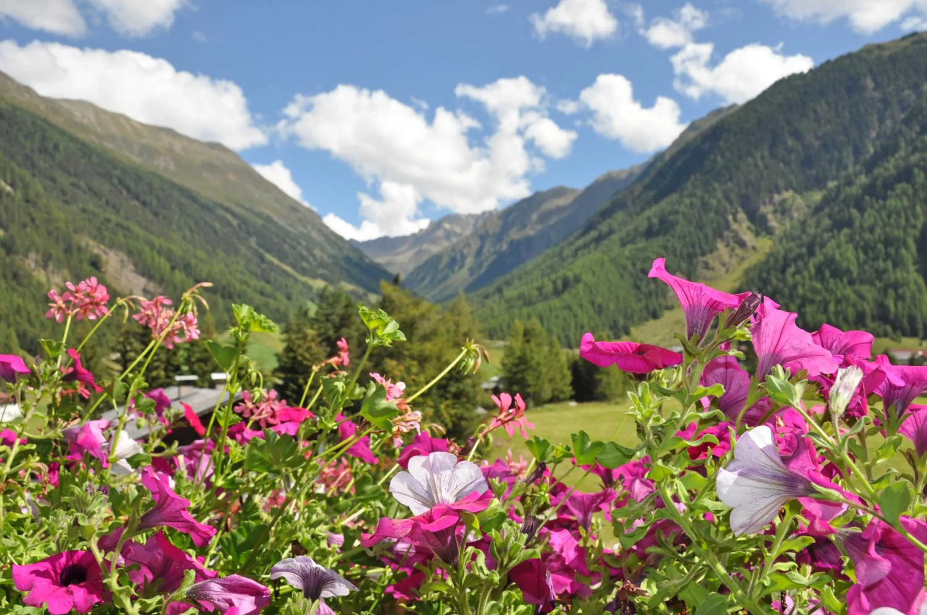 Garden view in Tauferberg