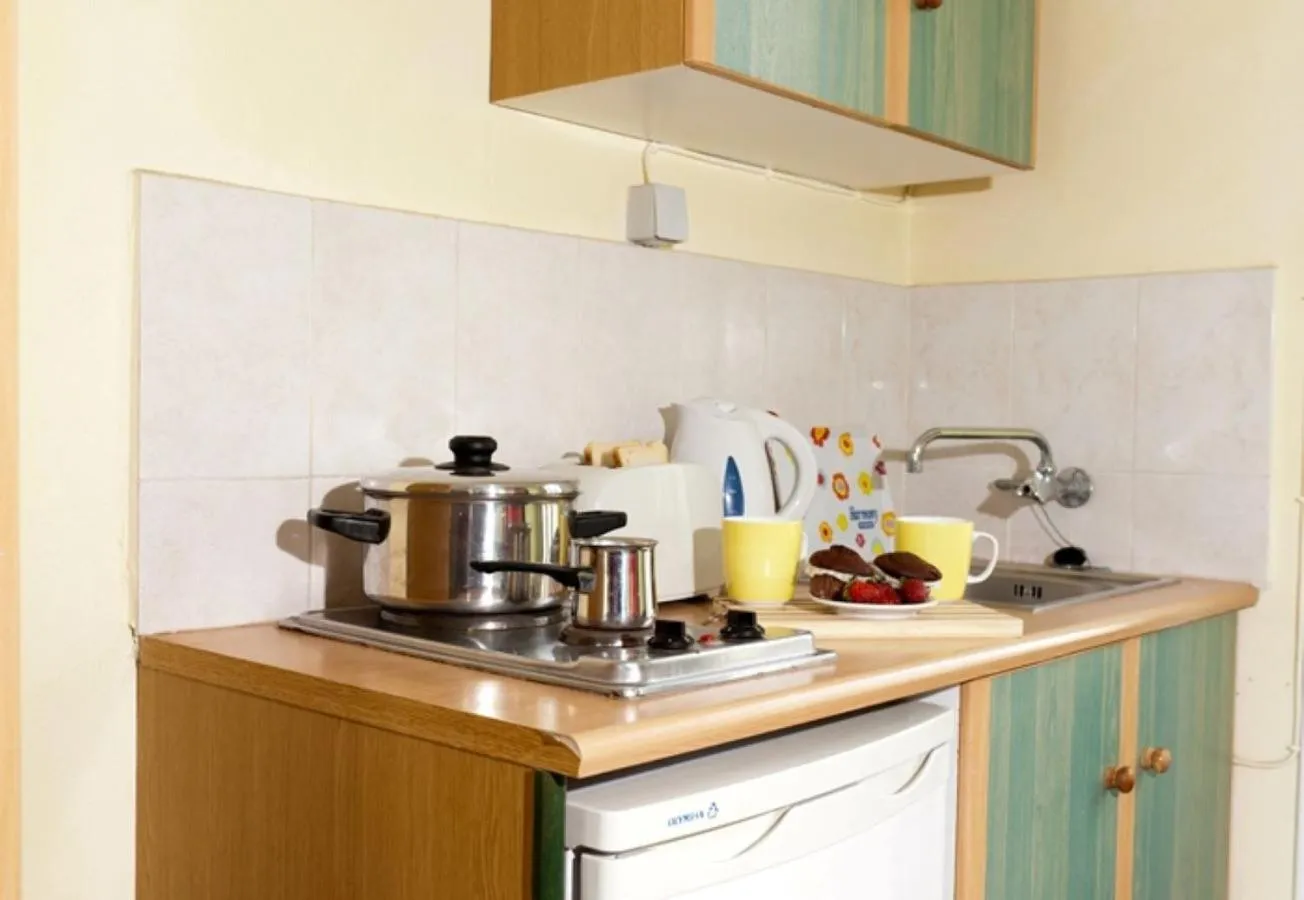 Kitchen or kitchenette in Elena's Studios
