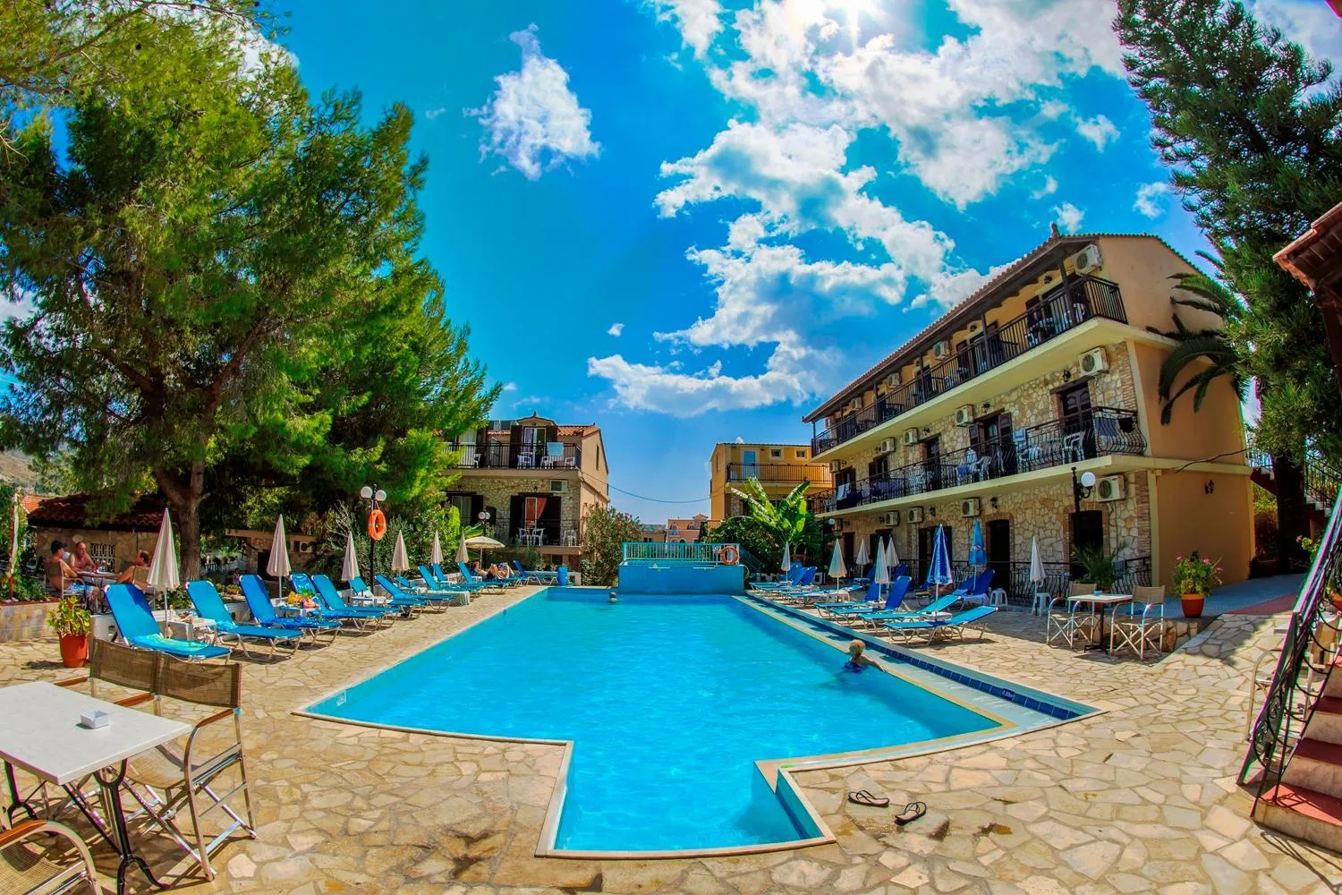 Garden in Elena's Studios