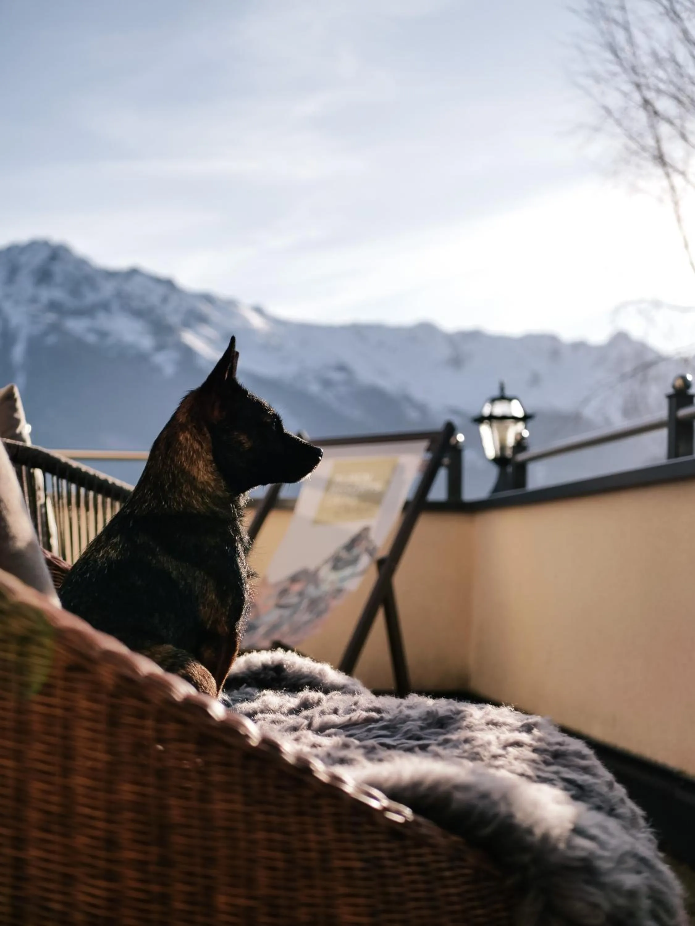 ALPENAPART LADIS ehemals Alpenapart Alexander