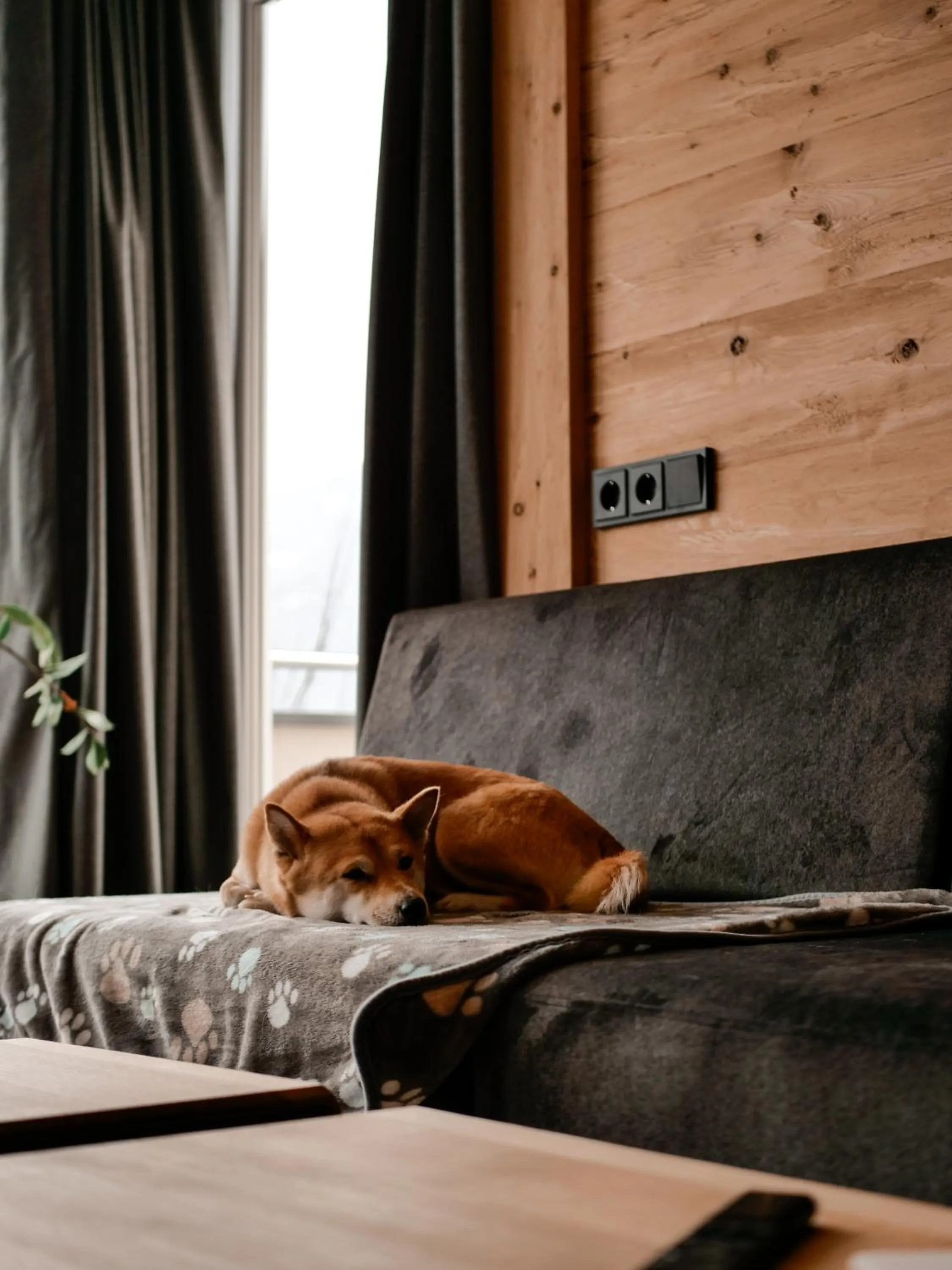 Bed in ALPENAPART LADIS ehemals Alpenapart Alexander