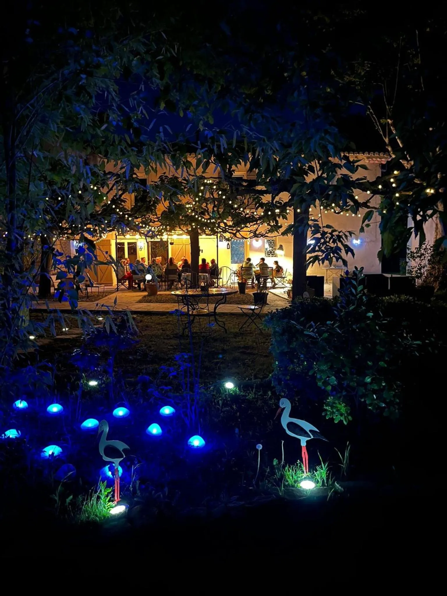 Night in Mas des Cigognes