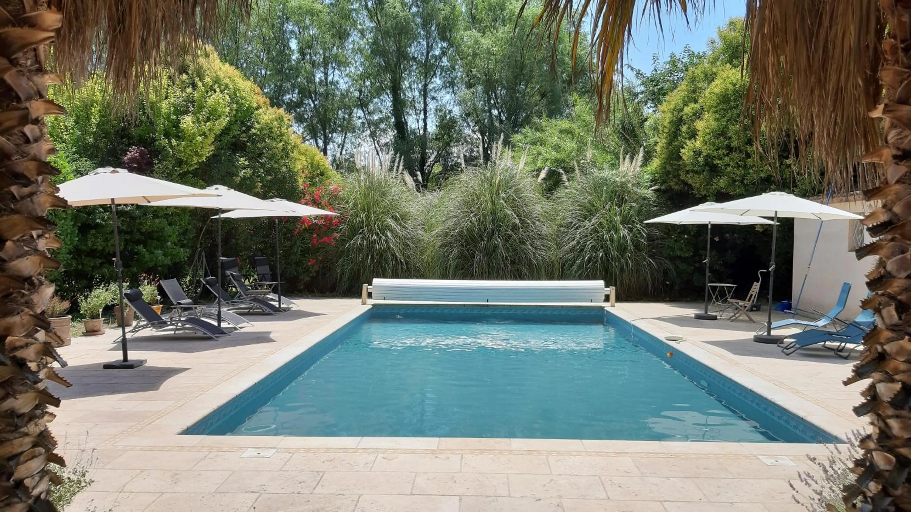 Natural landscape in Mas des Cigognes