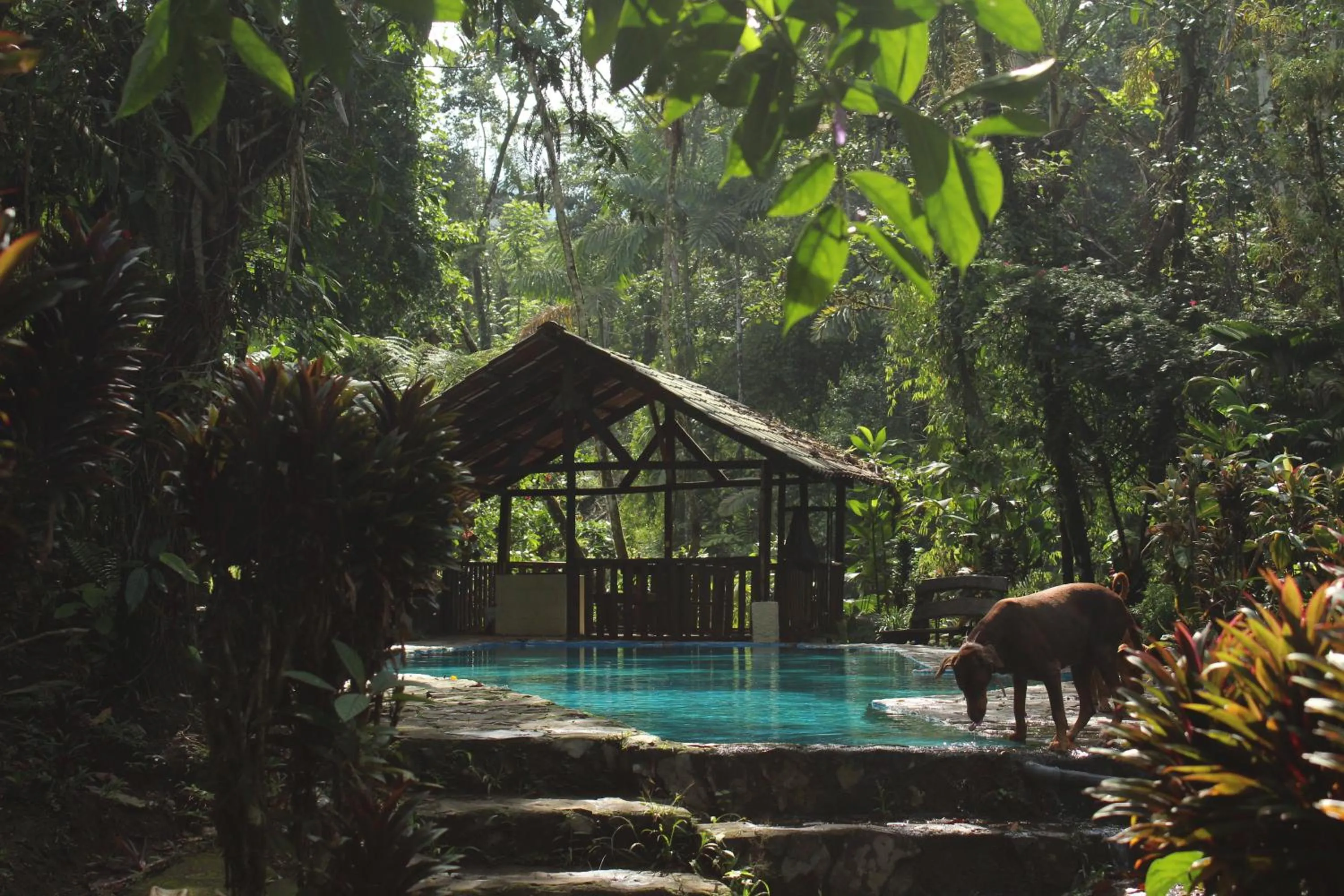 Princesa de la Luna Ecolodge