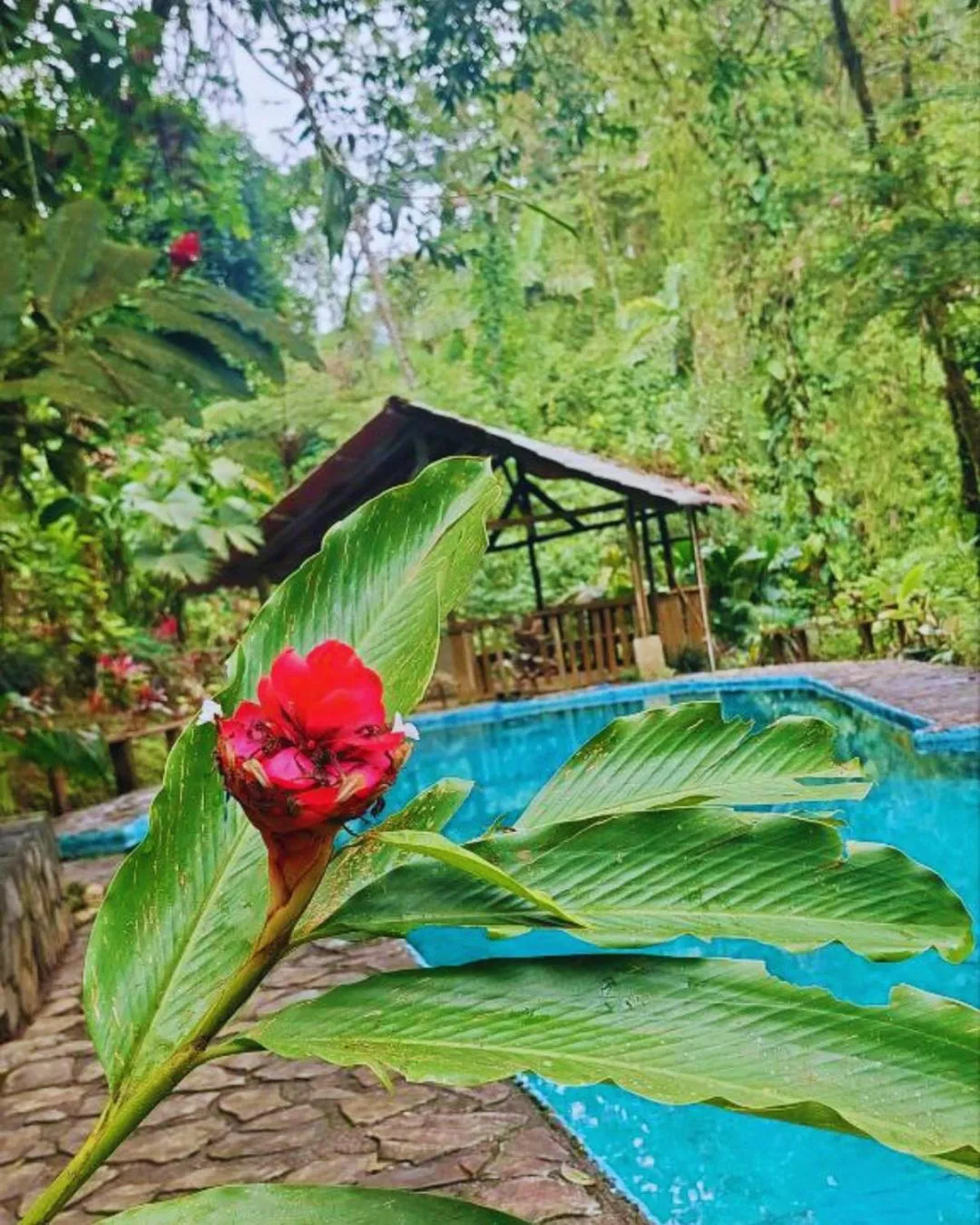 Princesa de la Luna Ecolodge